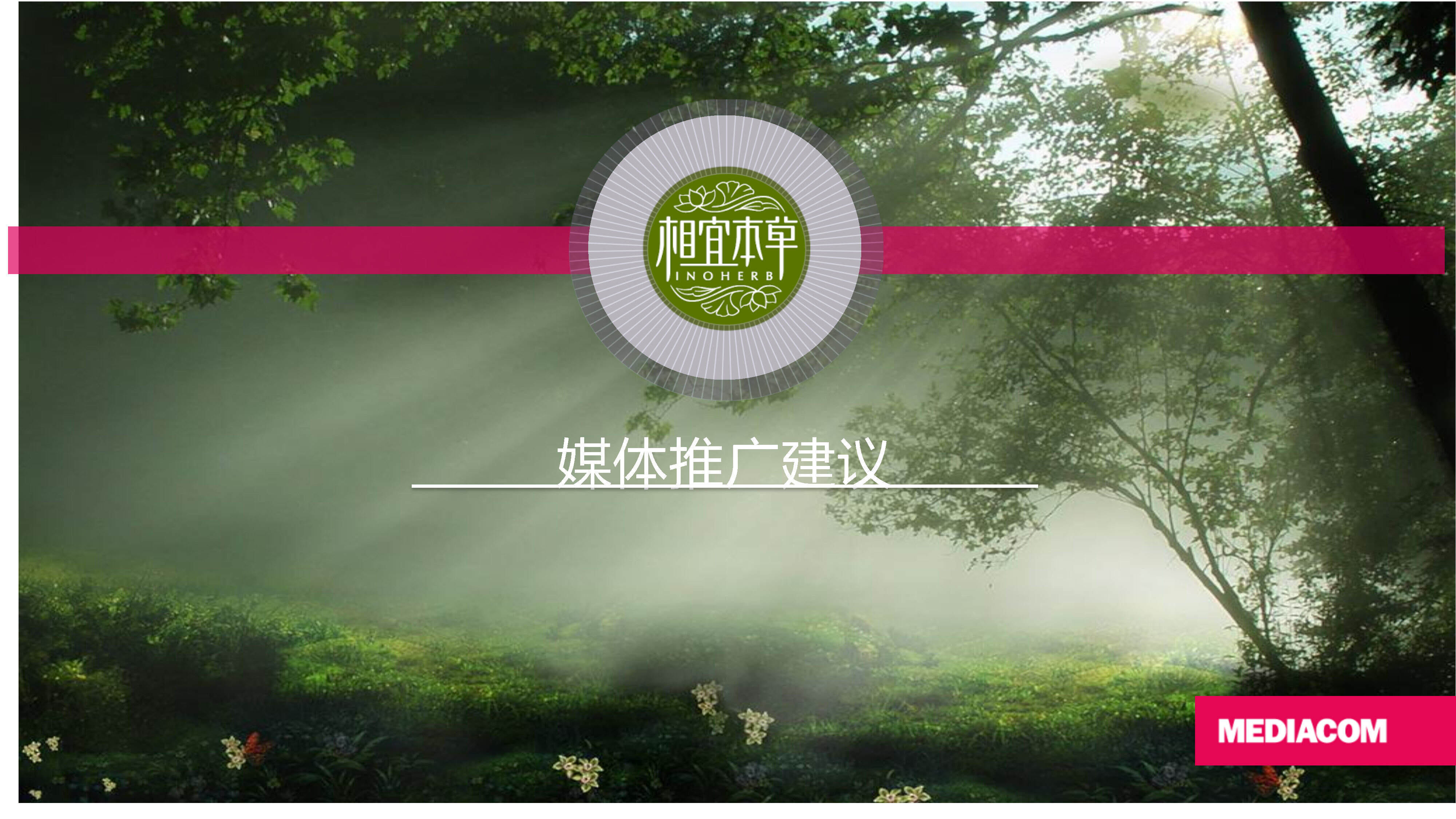 相宜本草年度媒体推广建议