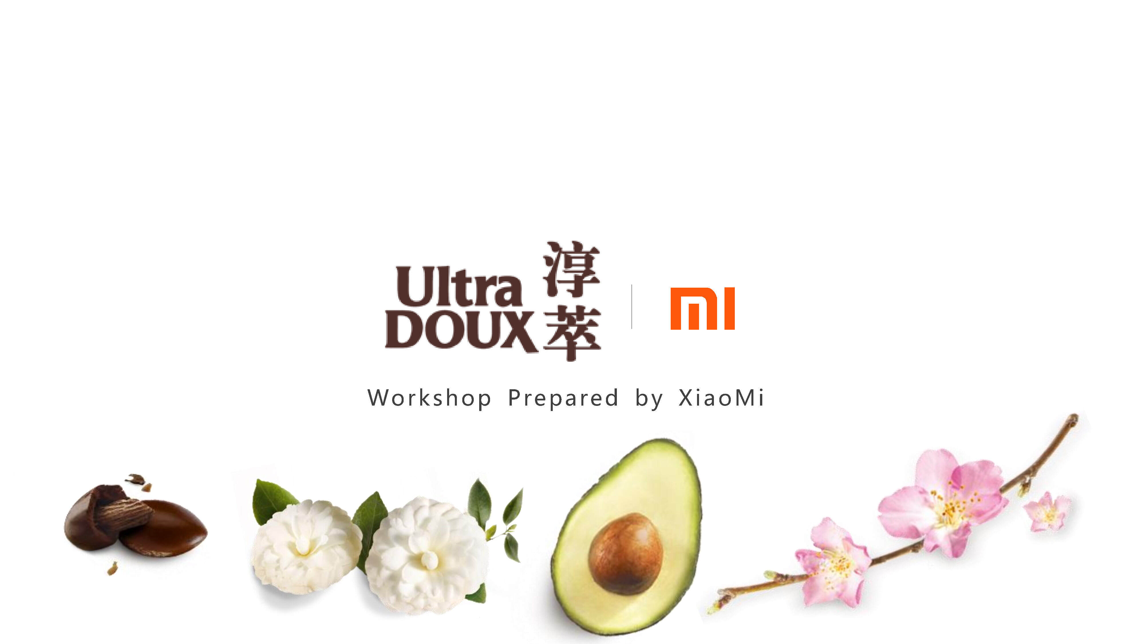 欧莱雅淳萃workshop