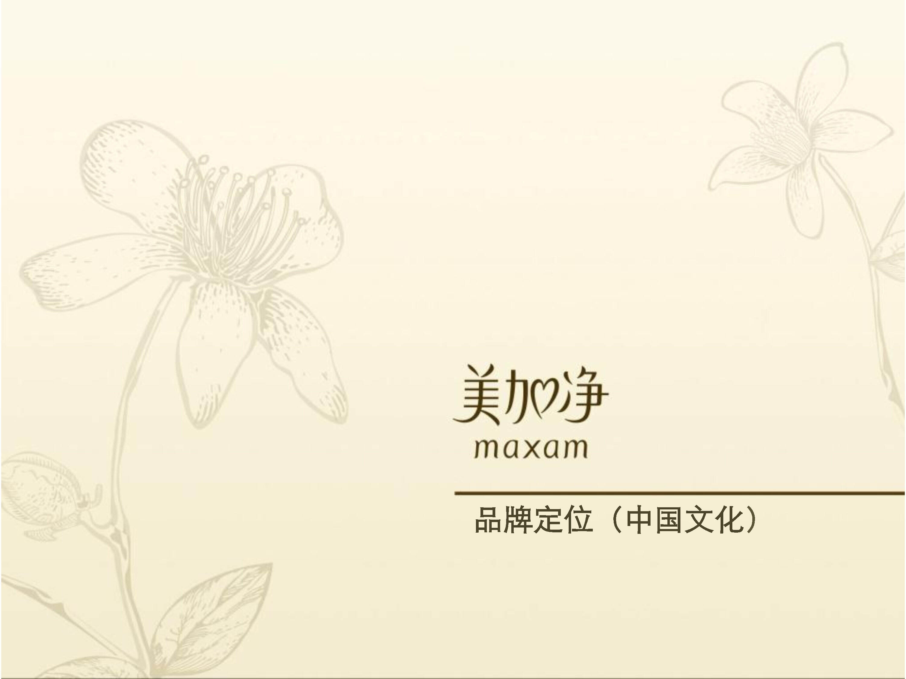 美加净品牌定位方案