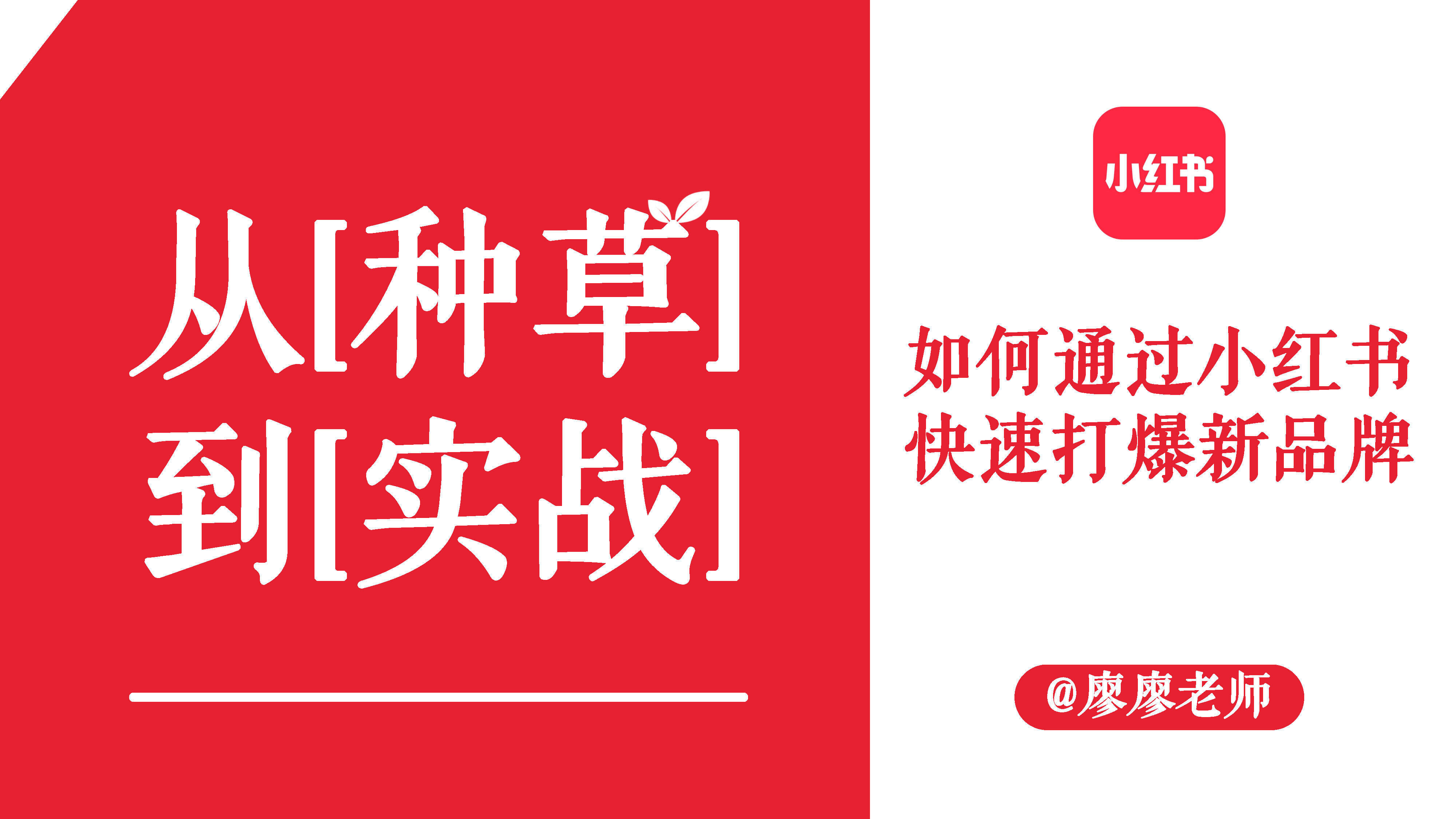 2023小红书品牌种草实战方案