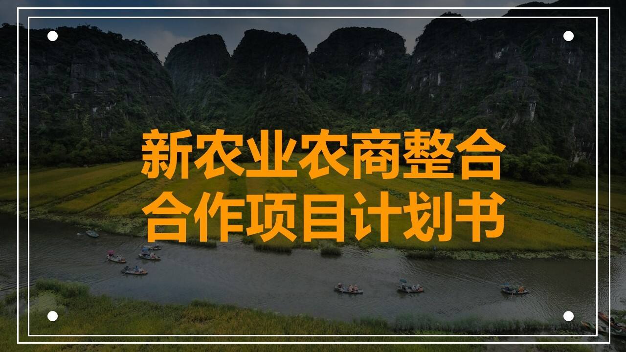 新农业农商整合合作项目计划书