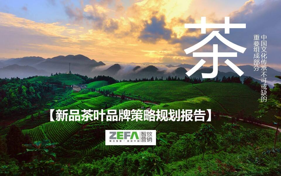 品牌体系-杯包-茶叶品牌策划