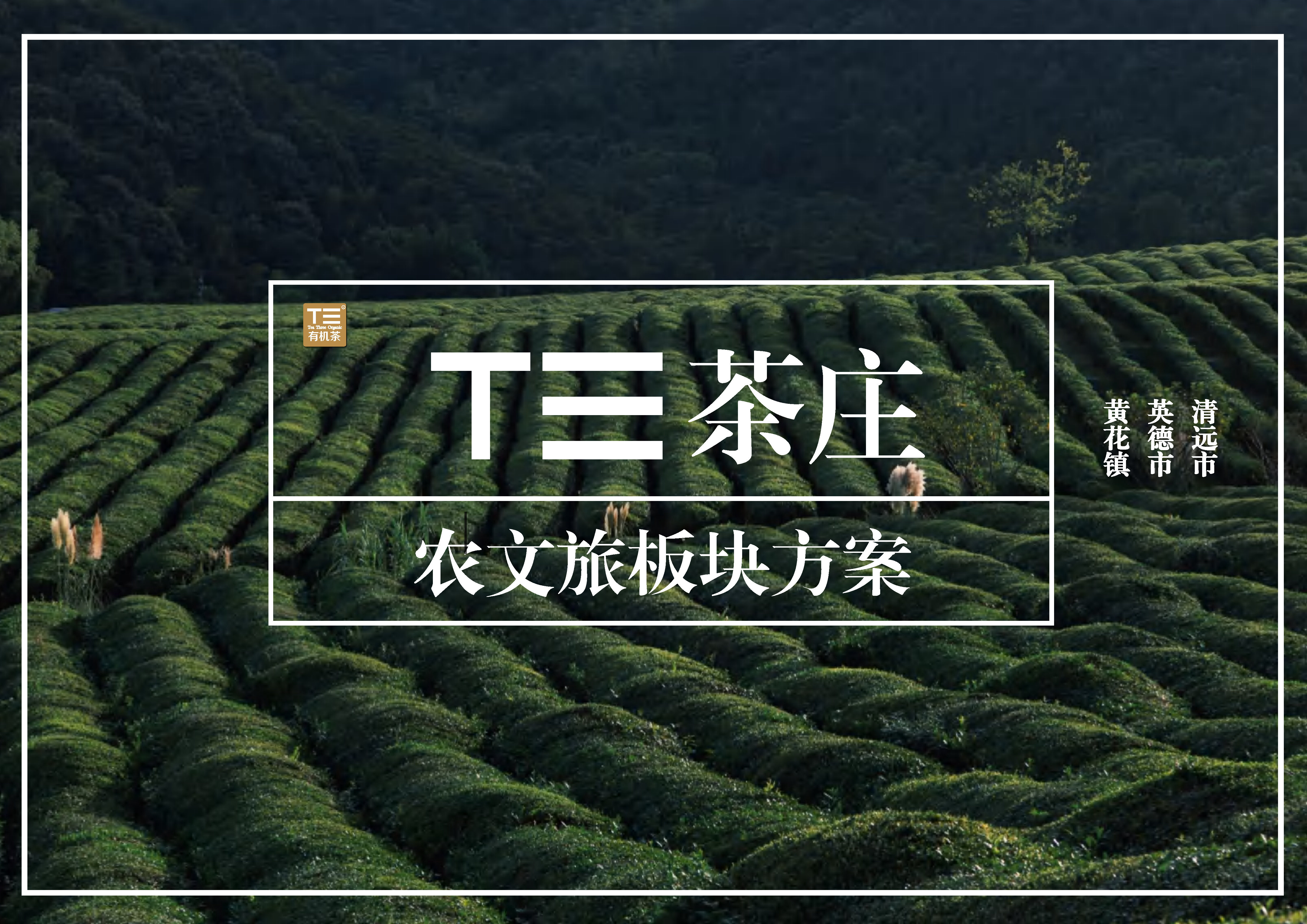 2023茶庄农文旅板块农村产业融合发展示范园战略规划方案