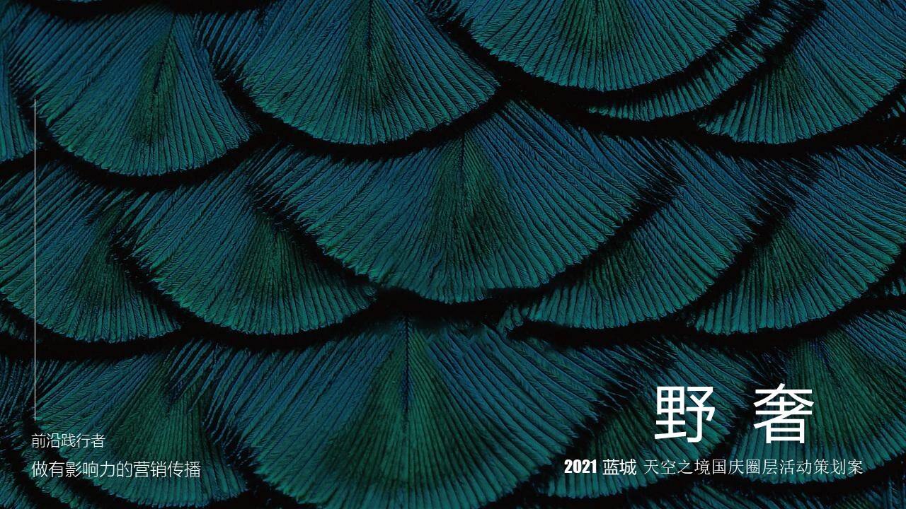 2021地产项目天空之境国庆圈层“野奢主题”活动策划方案
