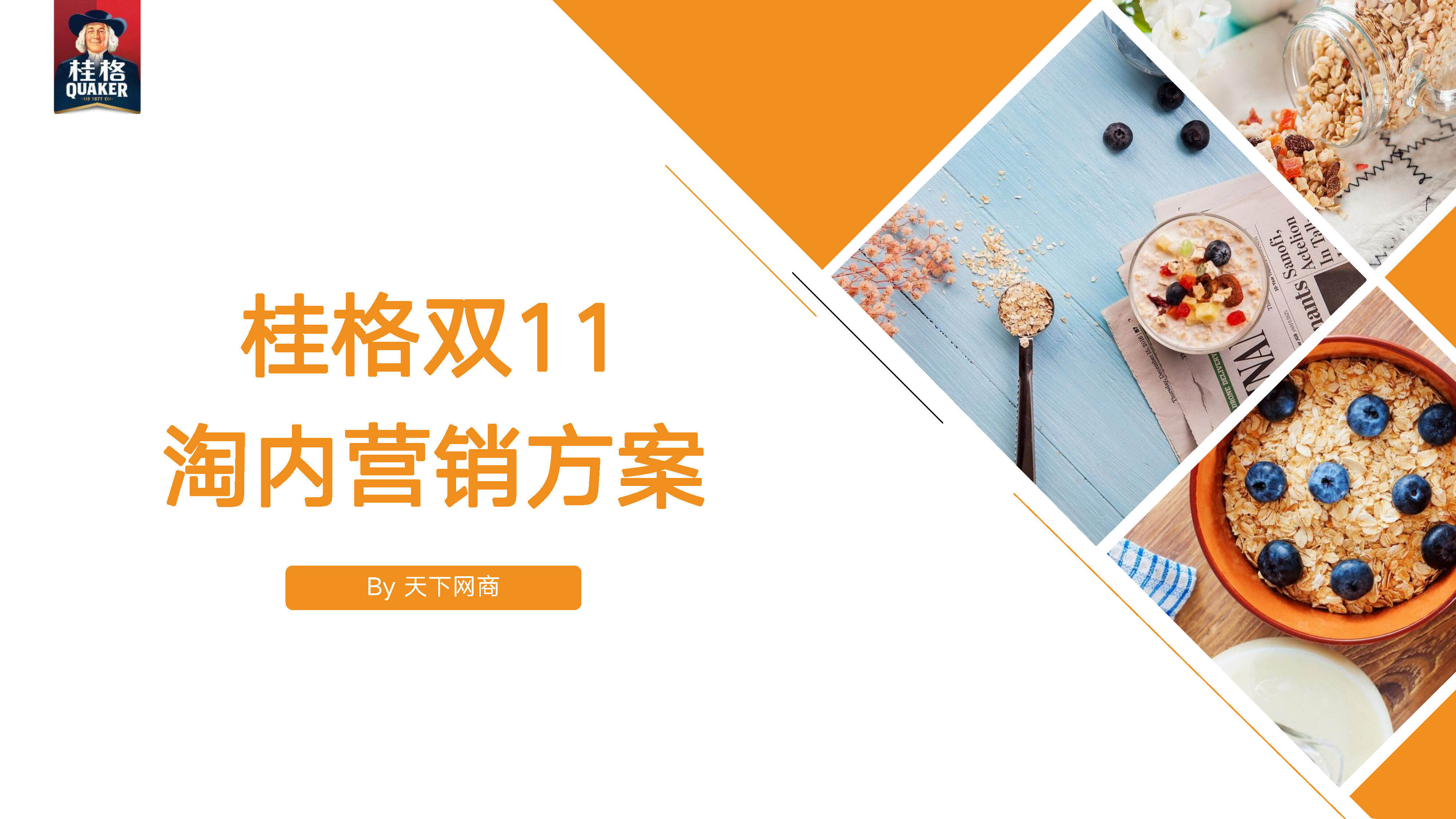 桂格双11内容营销方案