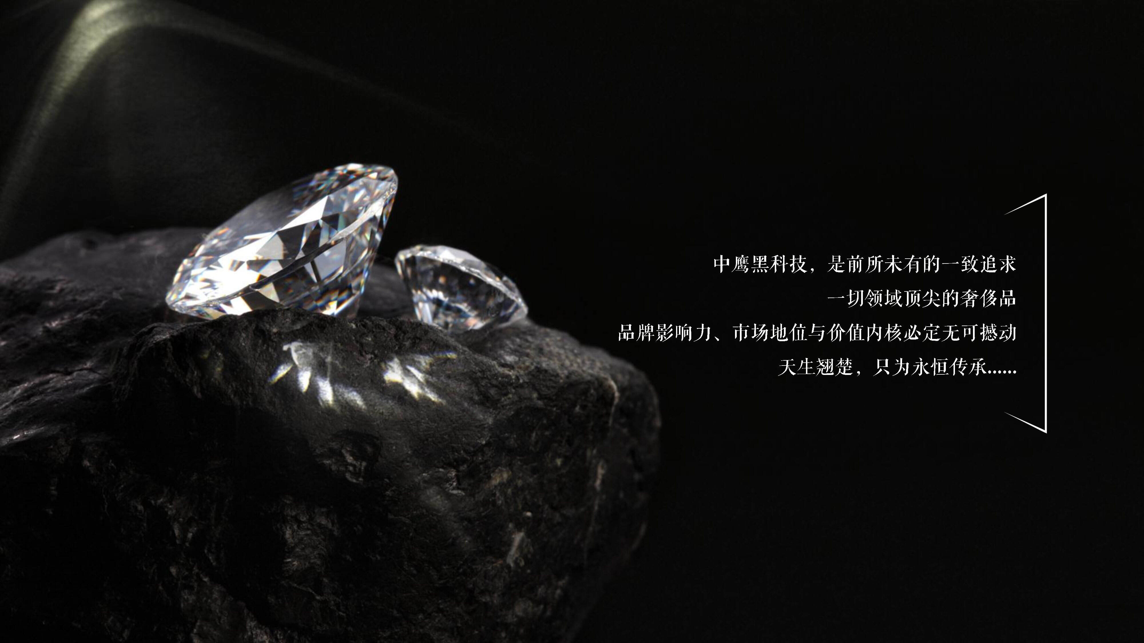 2023房地产豪宅项目推广策略方案