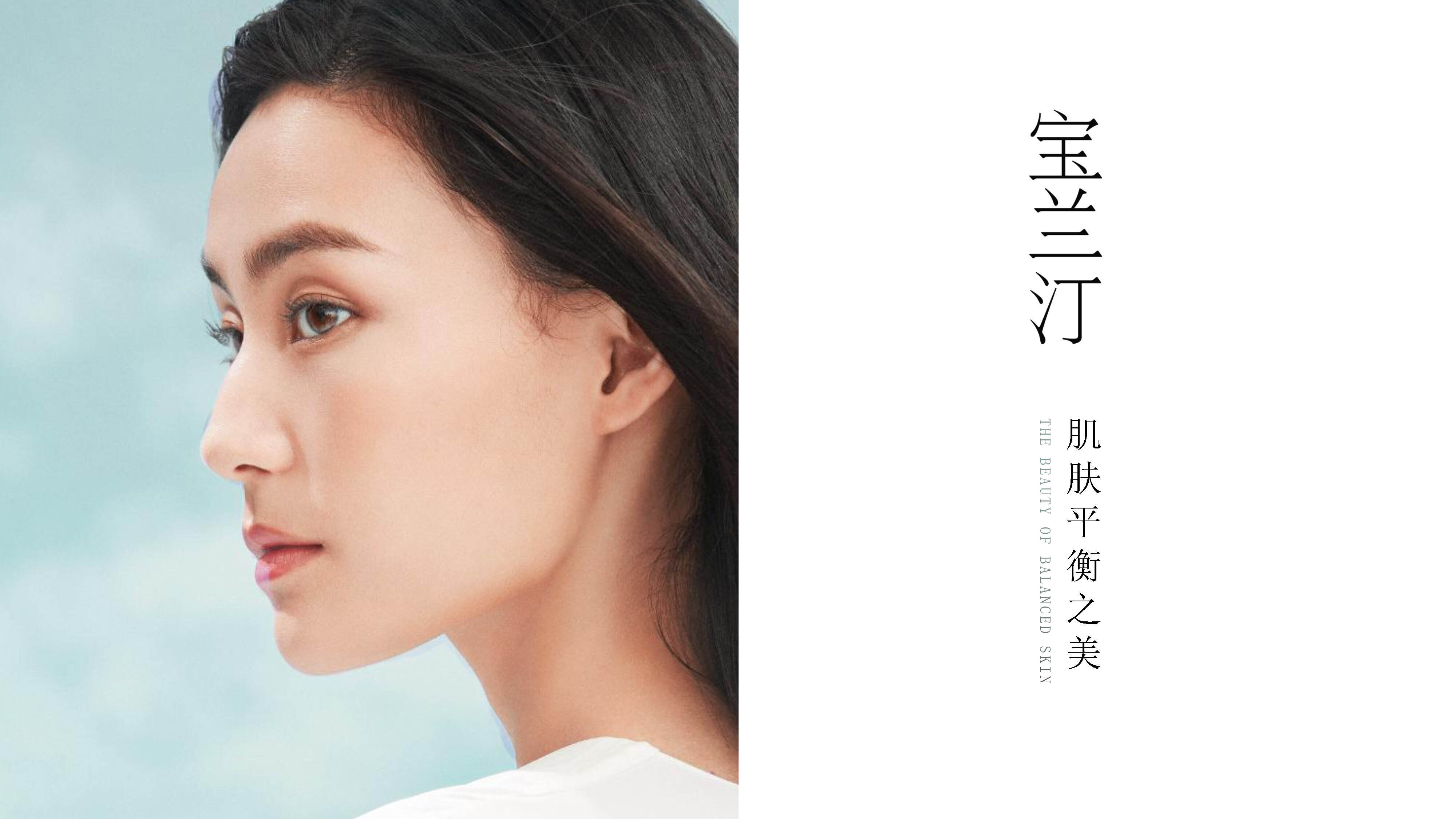 宝兰汀品牌介绍方案