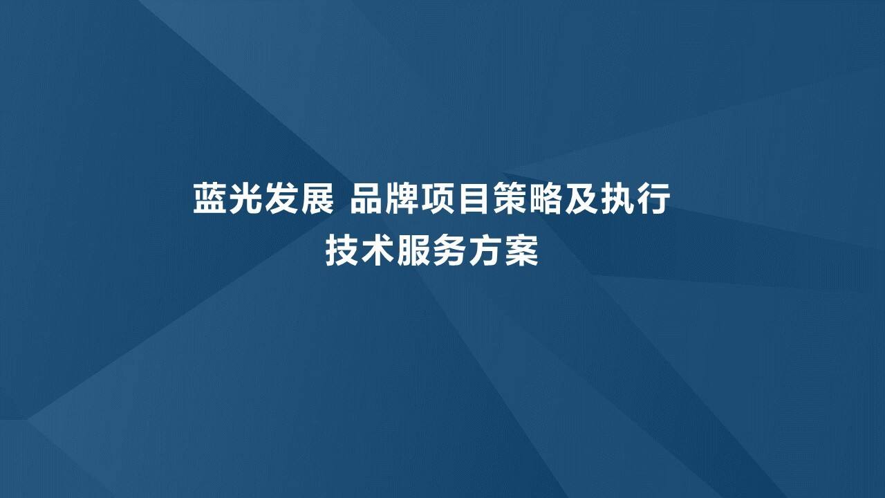 蓝光发展品牌项目策略及执行方案