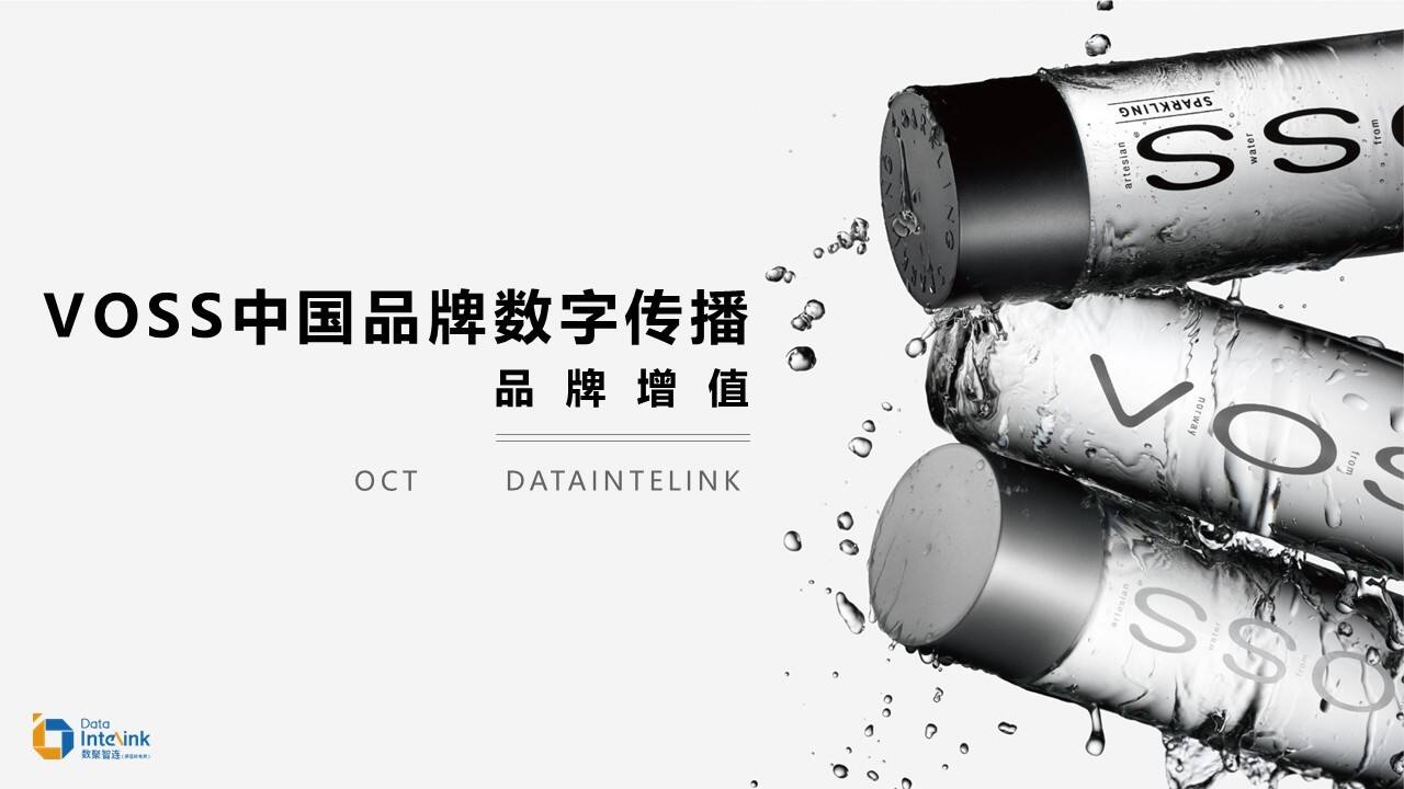 VOSS中国数字传播方案-品牌增值