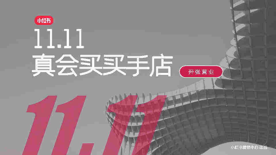 2023双11真会买买手店-小红书电商内循环通案