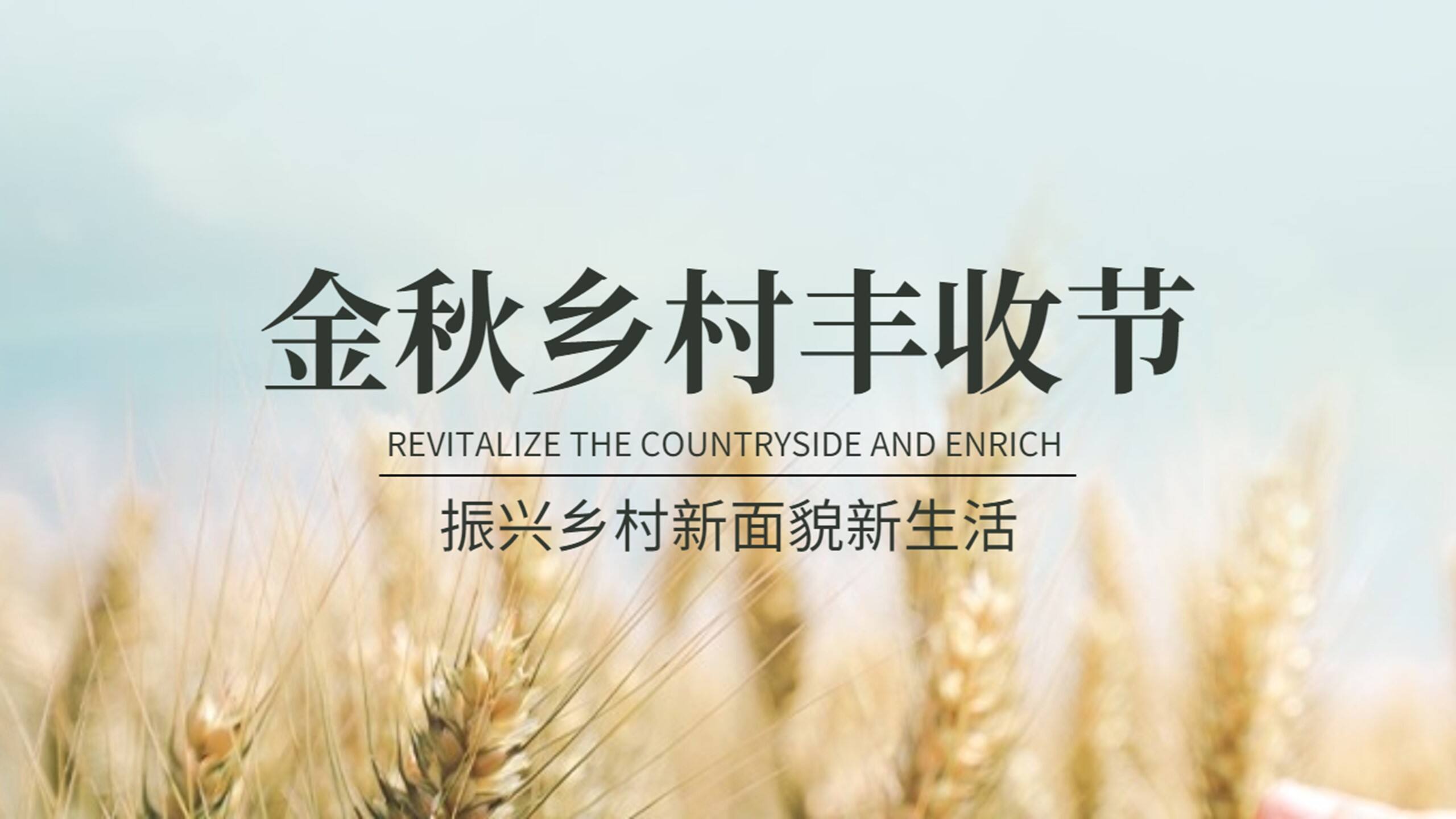 2022金秋乡村丰收节活动策划方案