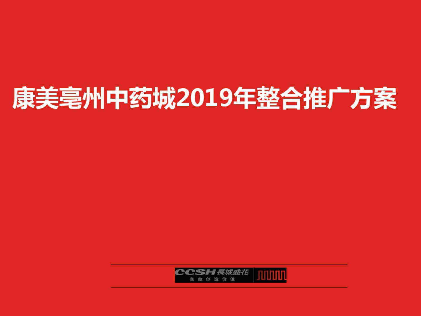 亳州康美中药城项目推广策略案