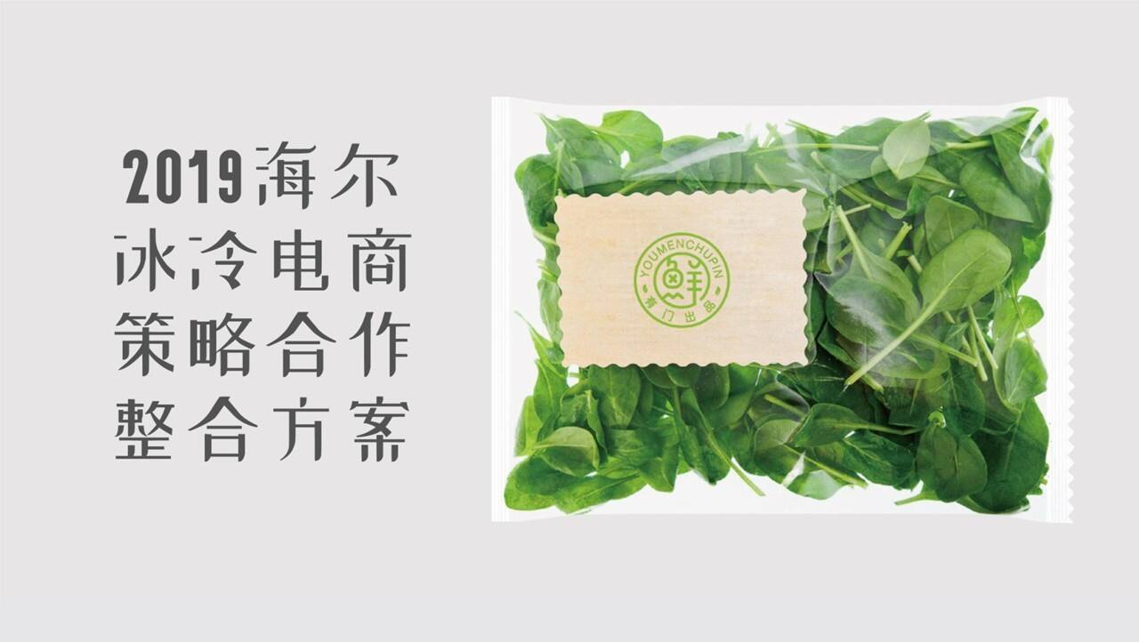 海尔冰冷电商策略合作整合方案广告视觉设计案例