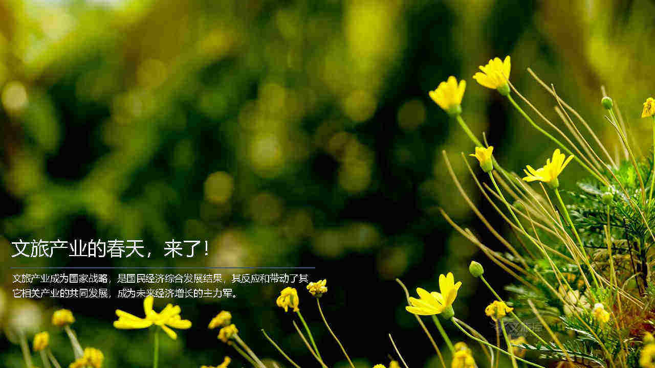 (研学+无动力乐园）打造研学春天里的无动力游乐园