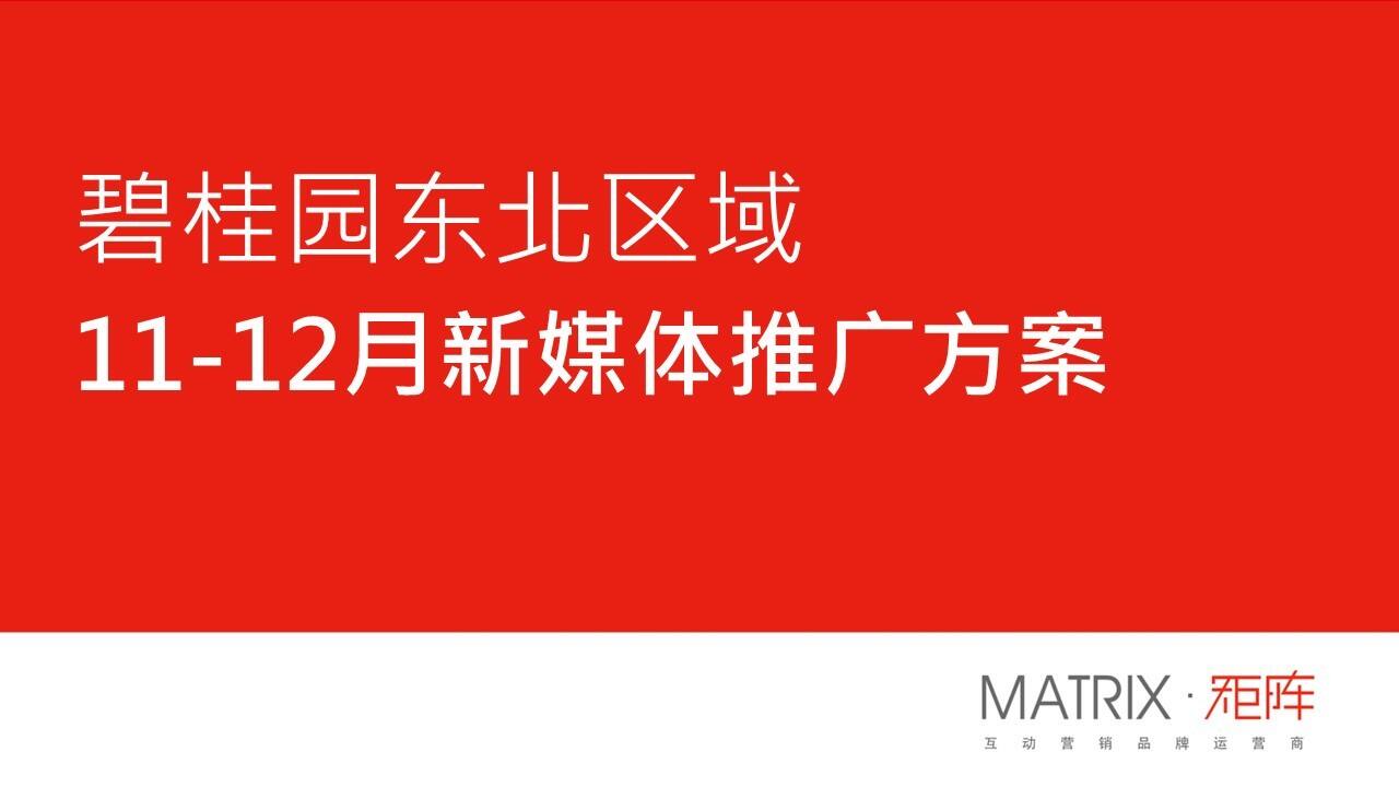 碧桂园项目11·12月新媒体推广方案-矩阵互动