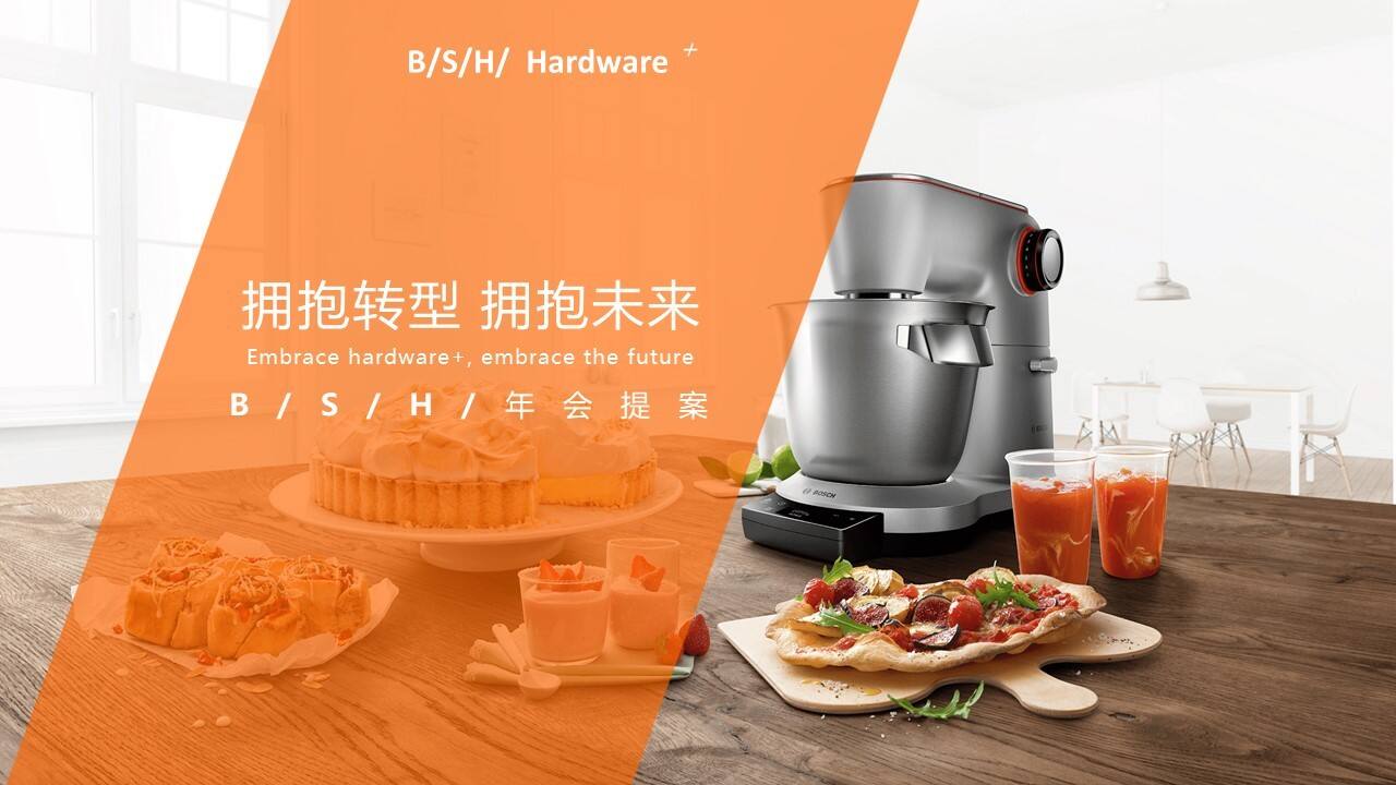 博世BHS家用电器集团公司年会方案