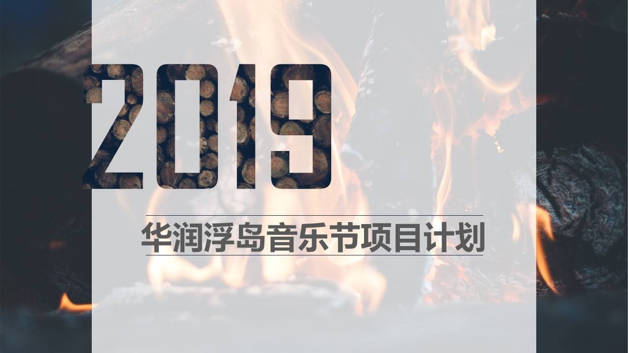 华润浮岛音乐节策划案