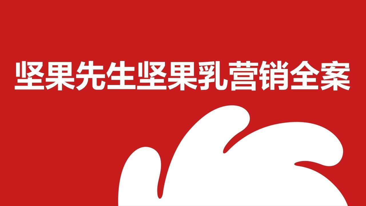 洽洽坚果先生营销全案