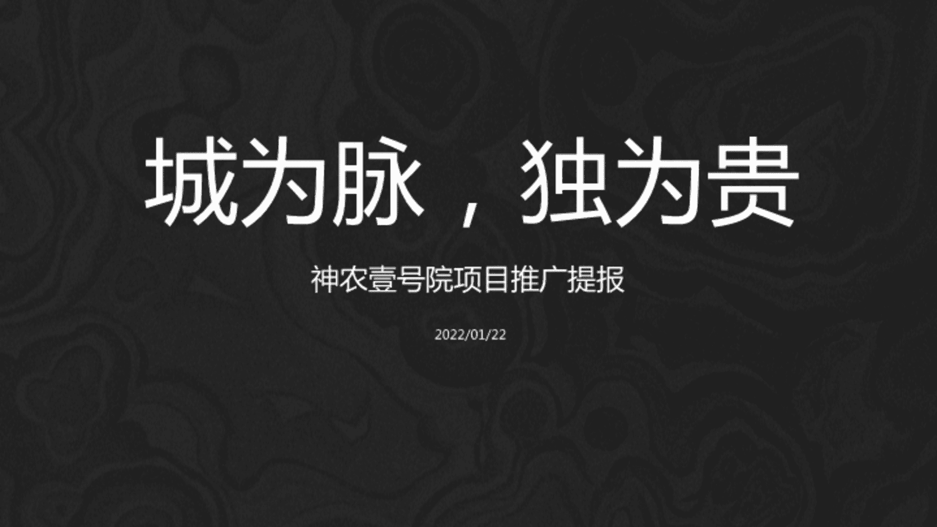 2022神农壹号院项目推广提报方案