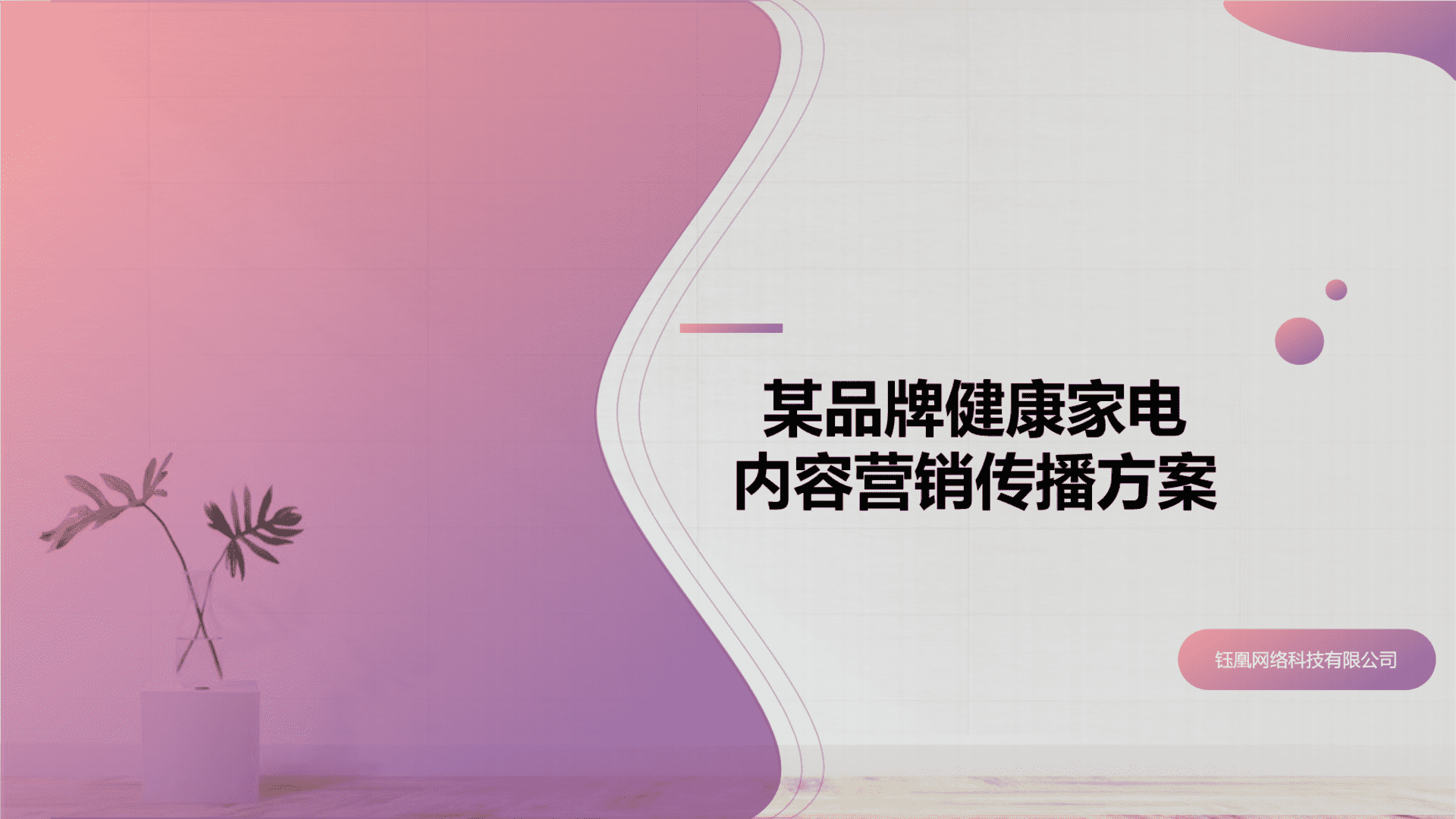 2021品牌洗衣机冰箱洗碗机线上传播方案