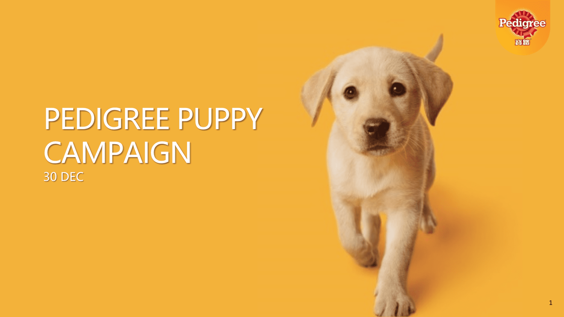 PED  Puppy creative_CH_BBDO