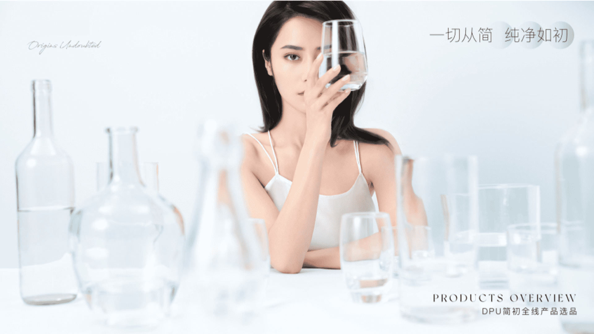 DPU产品介绍品牌背书