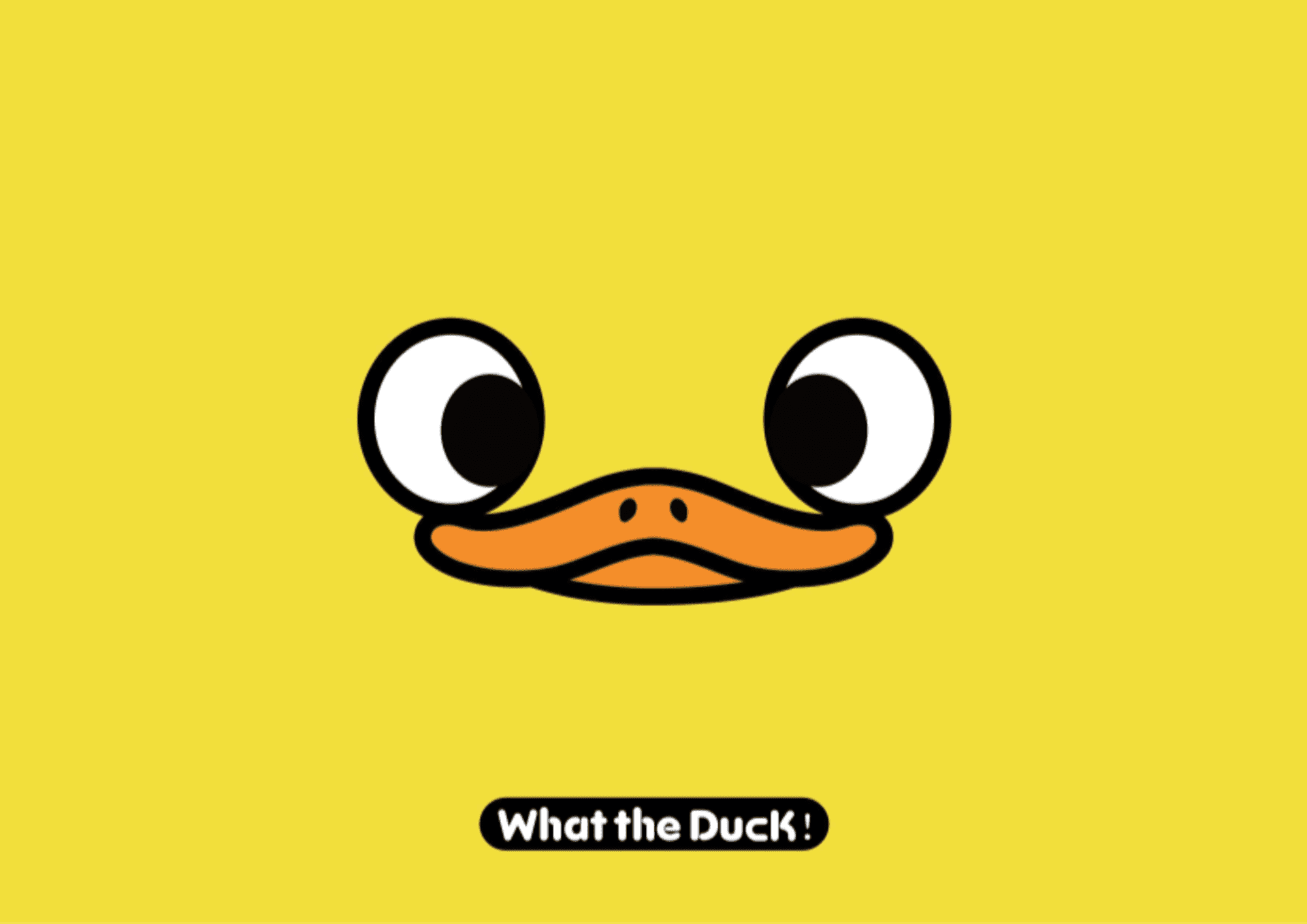 W_T_DUCK什么鸭品牌策划