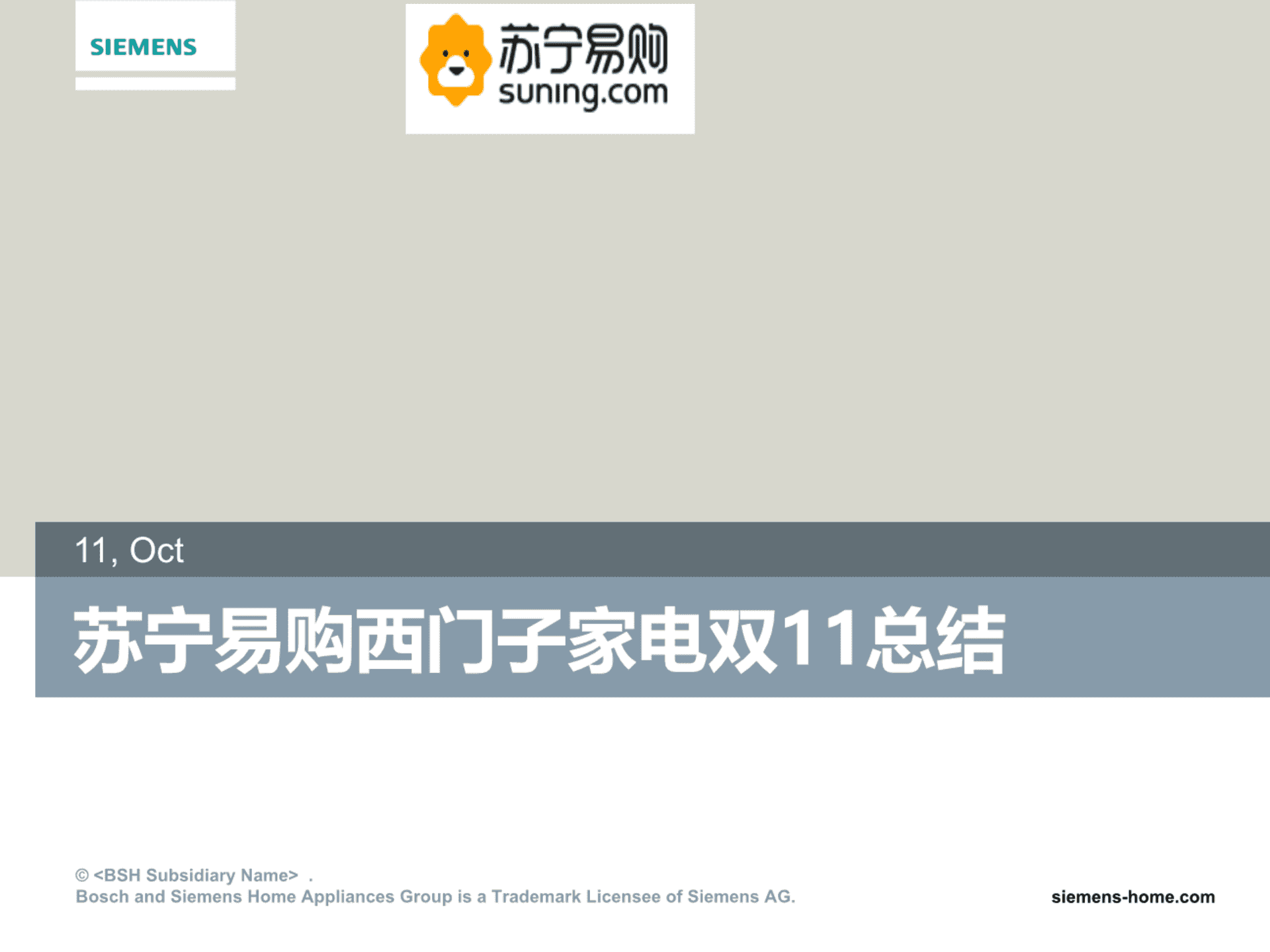 苏宁双11活动总结