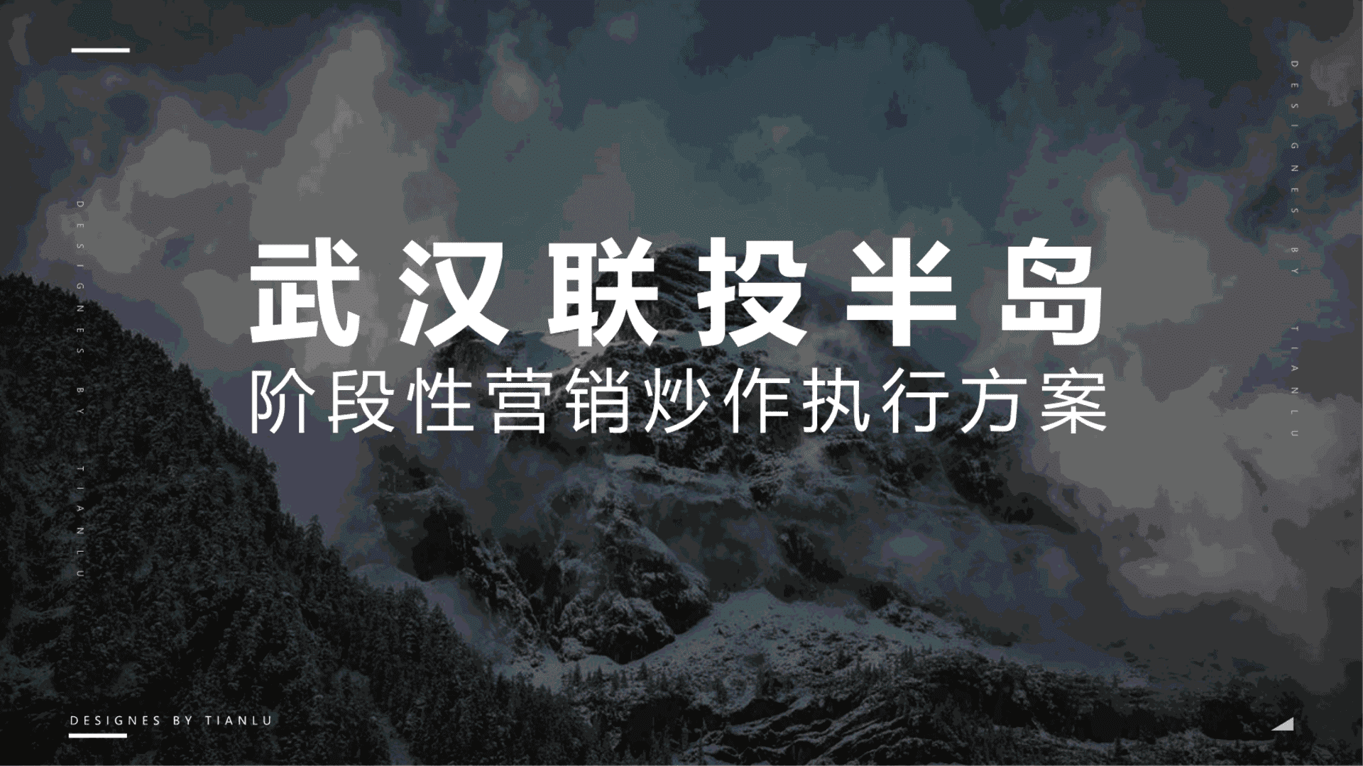 联投半岛阶段炒作公益慈善执行方案