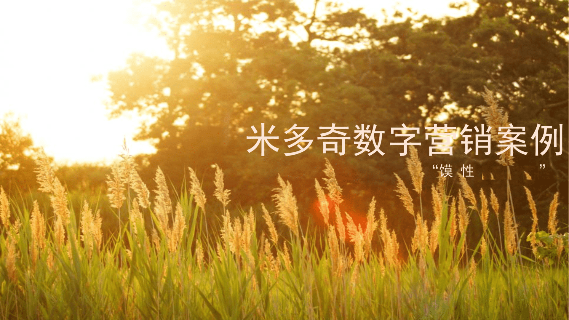 米多奇数字营销案例