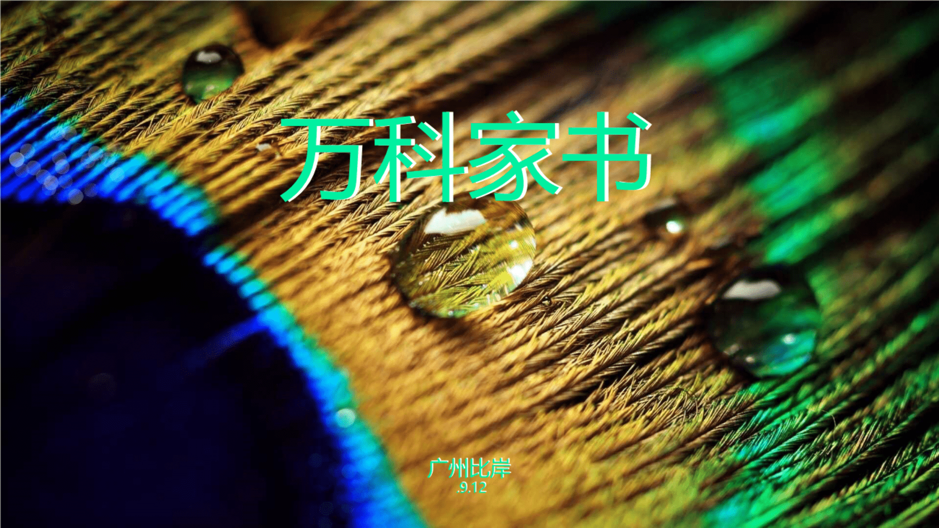 万科家装整合推广思路