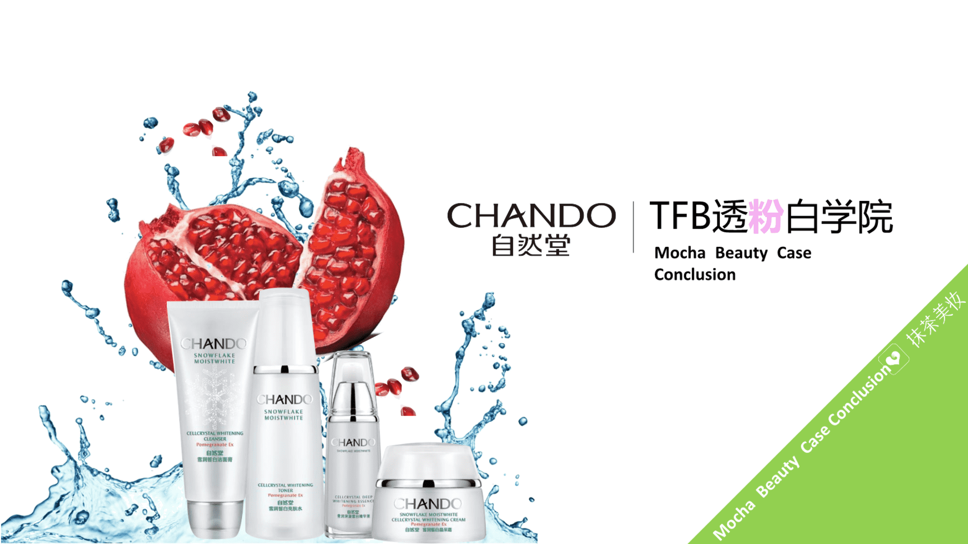 自然堂整合营销总结报告方案