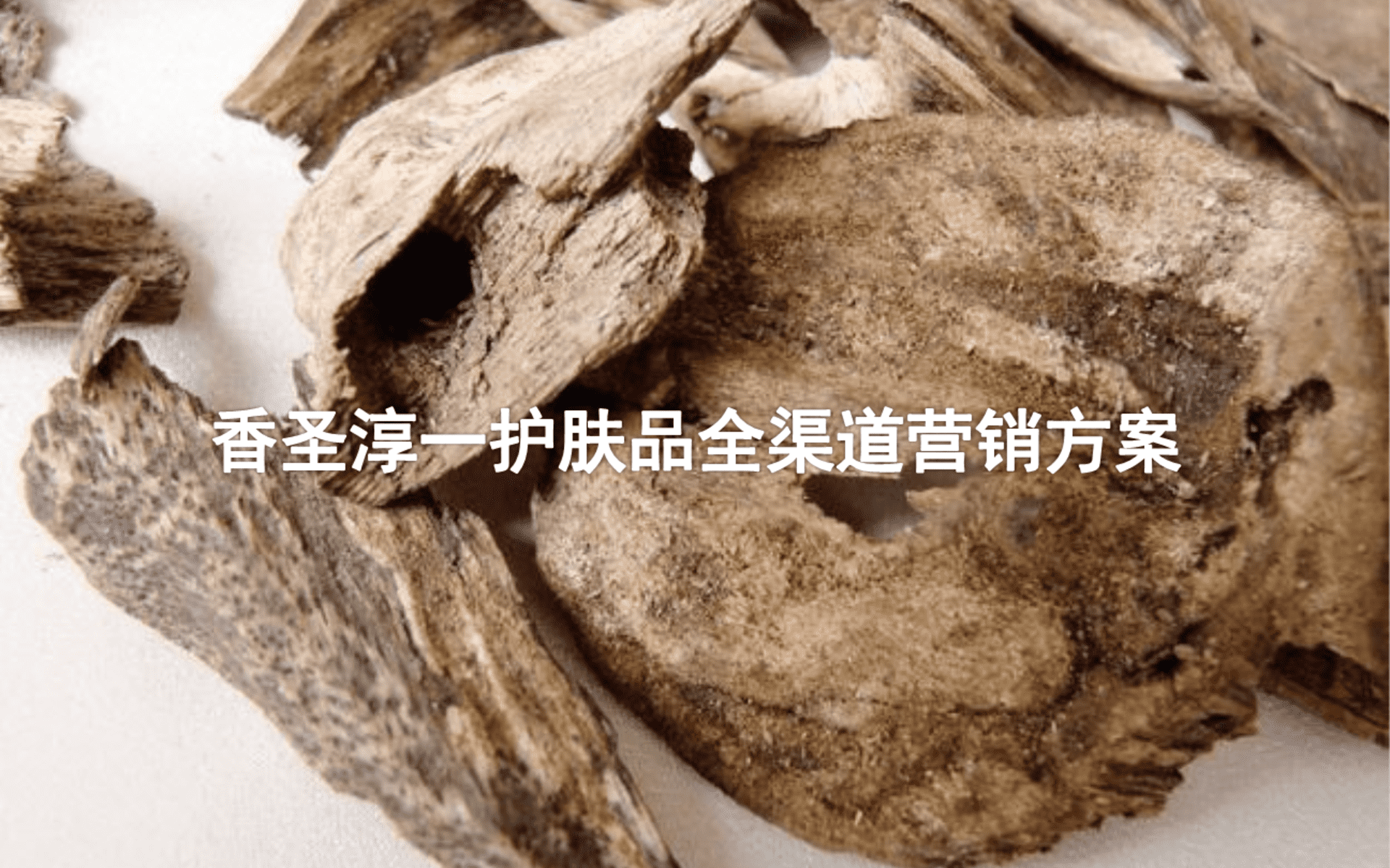 香圣淳一护肤品全渠道营销方案