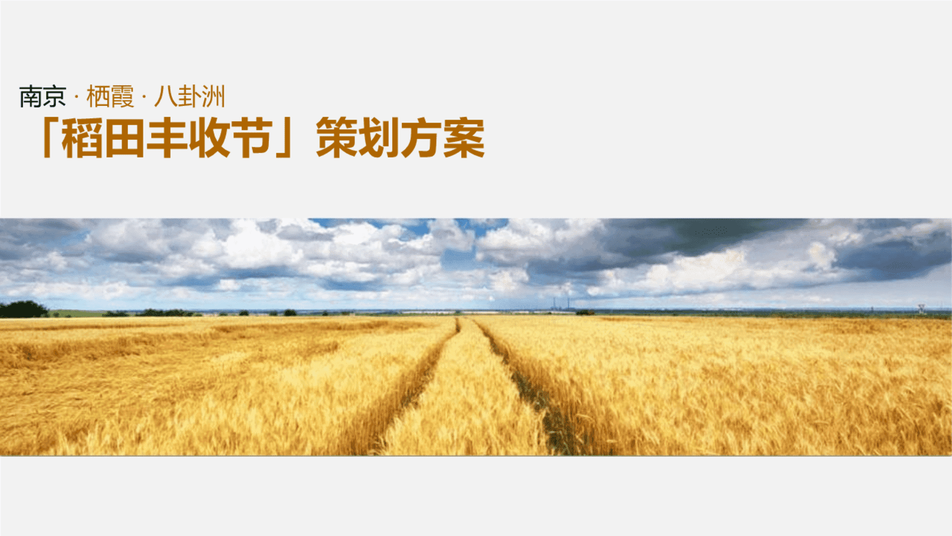 南京栖霞八卦洲稻田丰收节系列活动策划方案