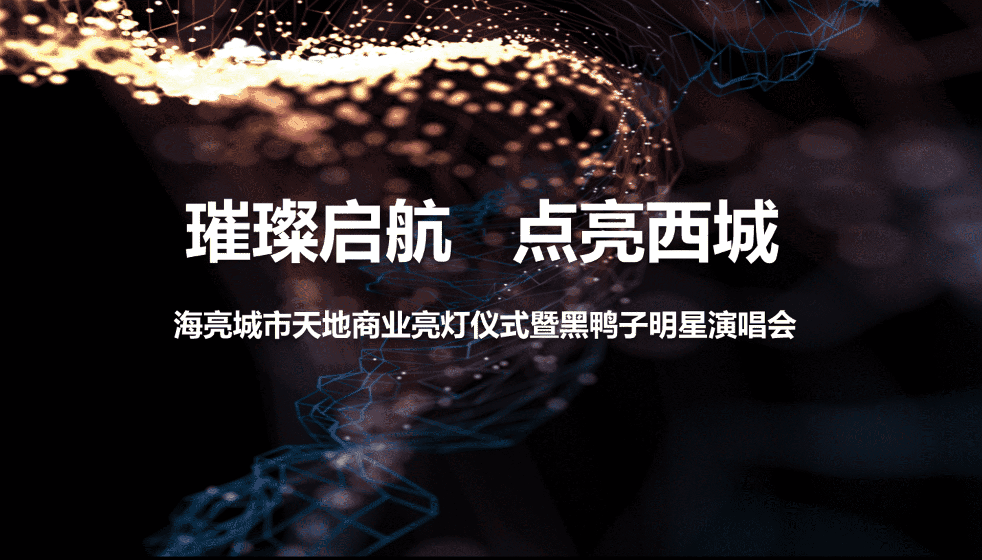 海亮城市天地商业亮灯仪式暨黑鸭子明星演唱会方案