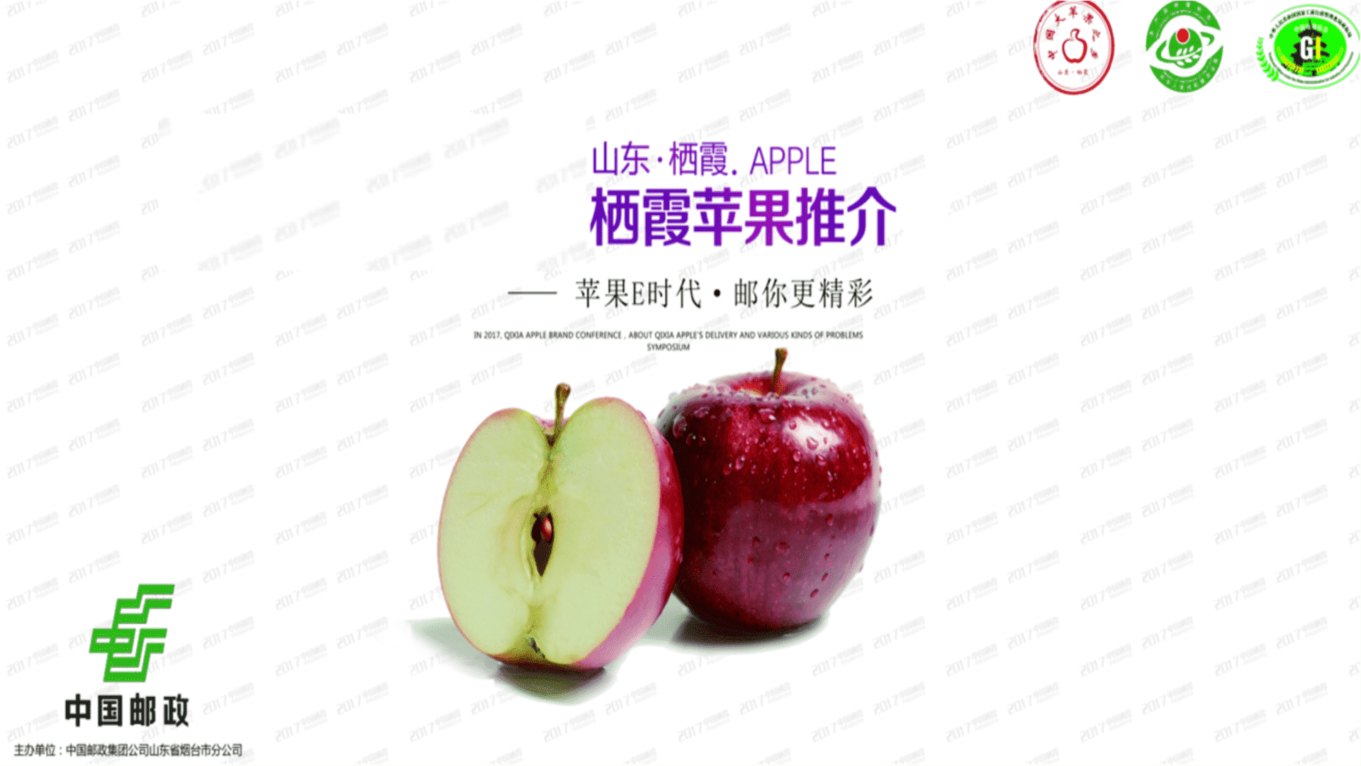 山东栖霞苹果推介方案
