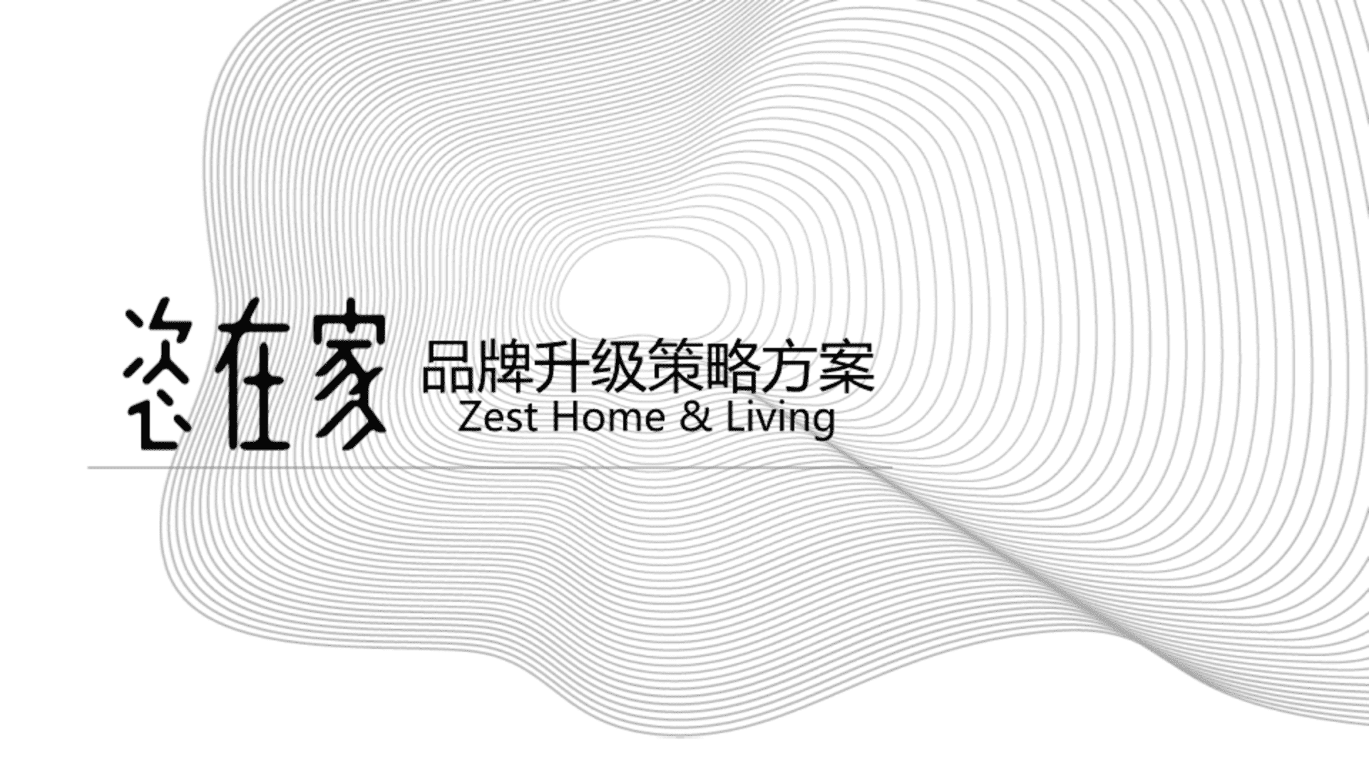 2024恣在家家居品牌升级策略方案