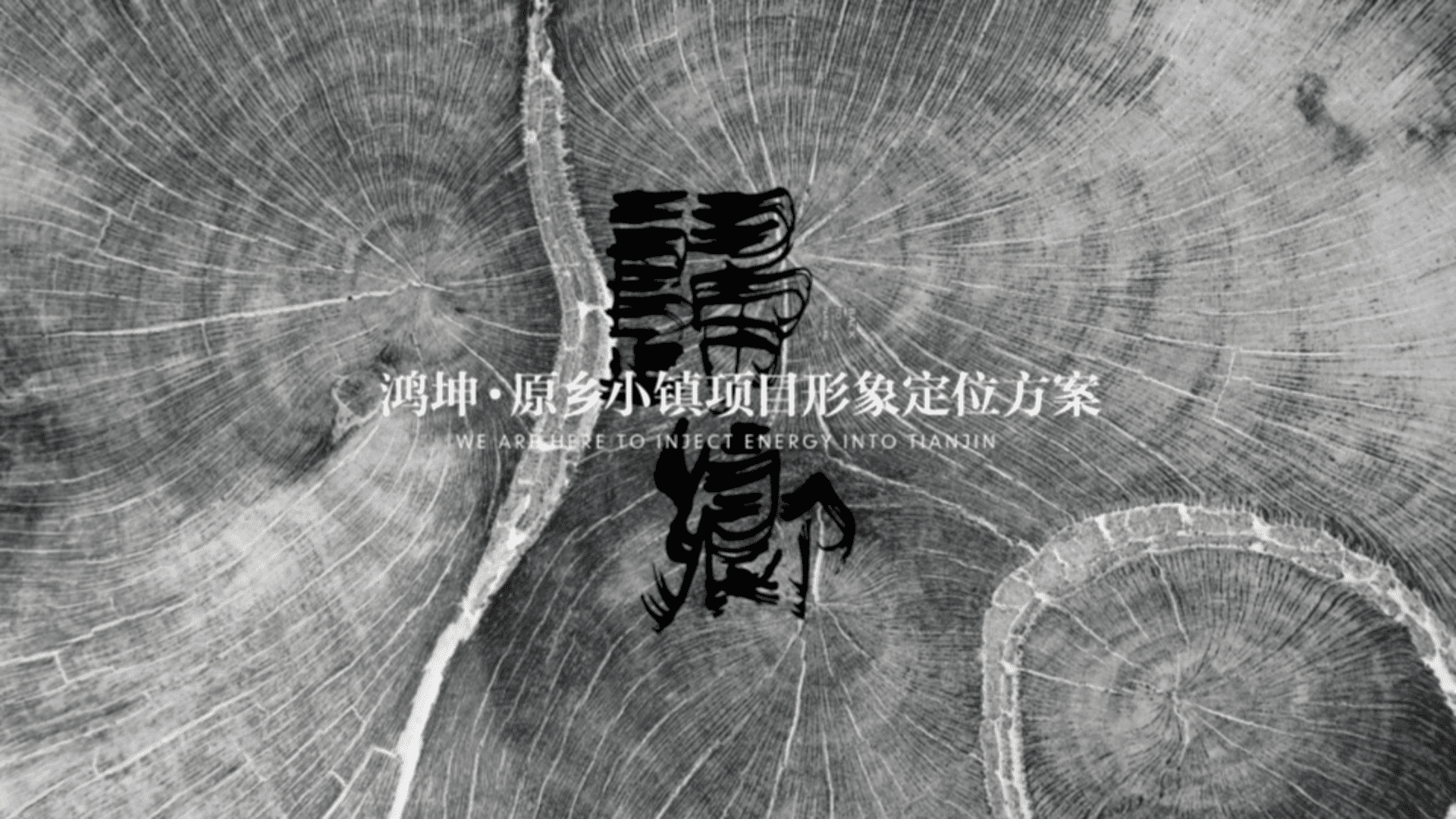 典晶创艺-鸿坤原乡小镇形象定位与推广方案