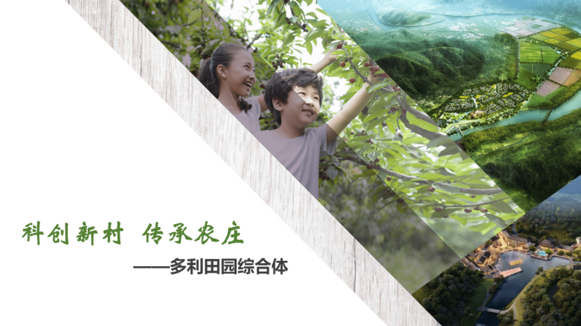 多利田园综合体模式介绍