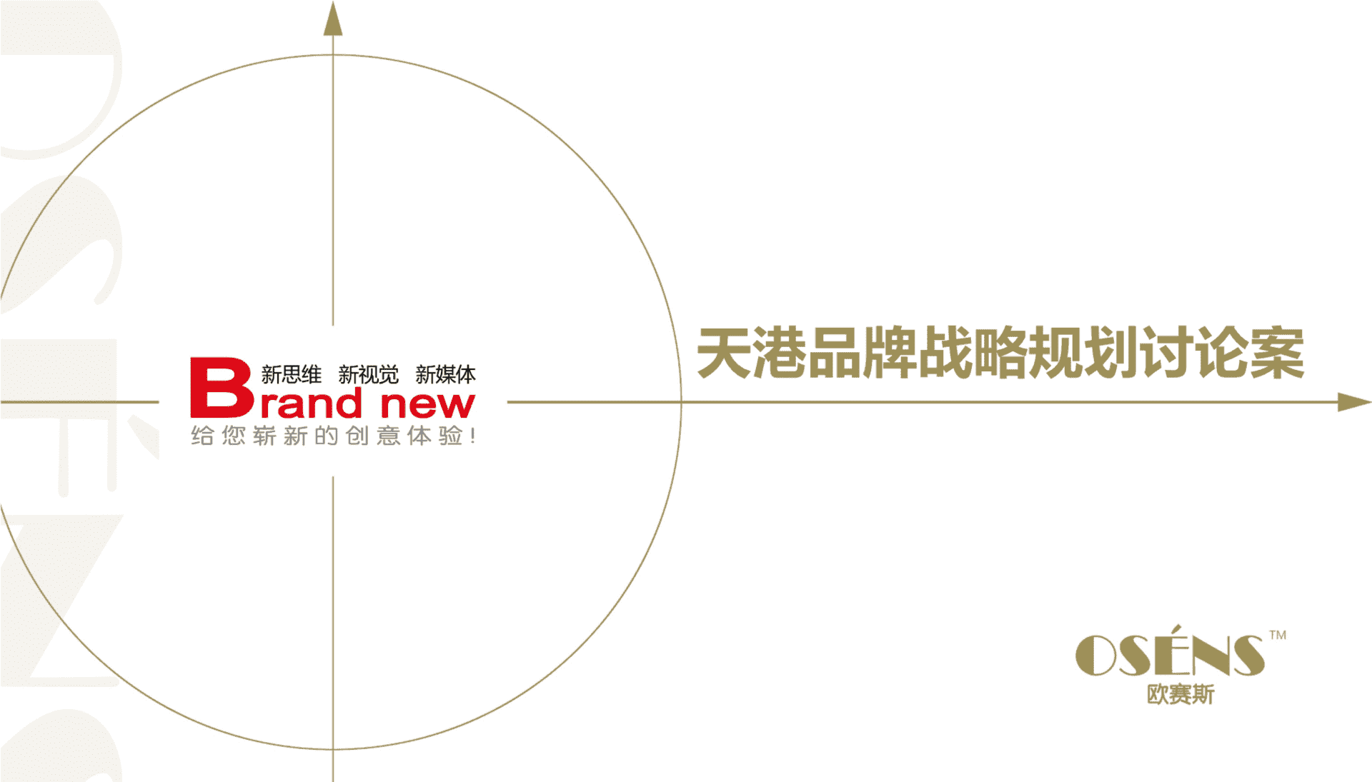 天港品牌战略规划讨论案