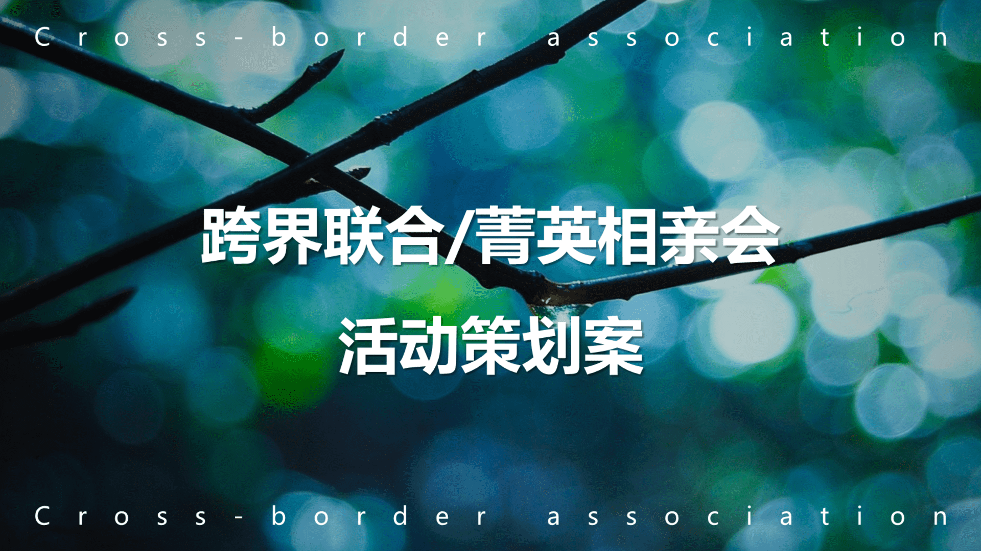 跨界联合菁英相亲会活动策划方案