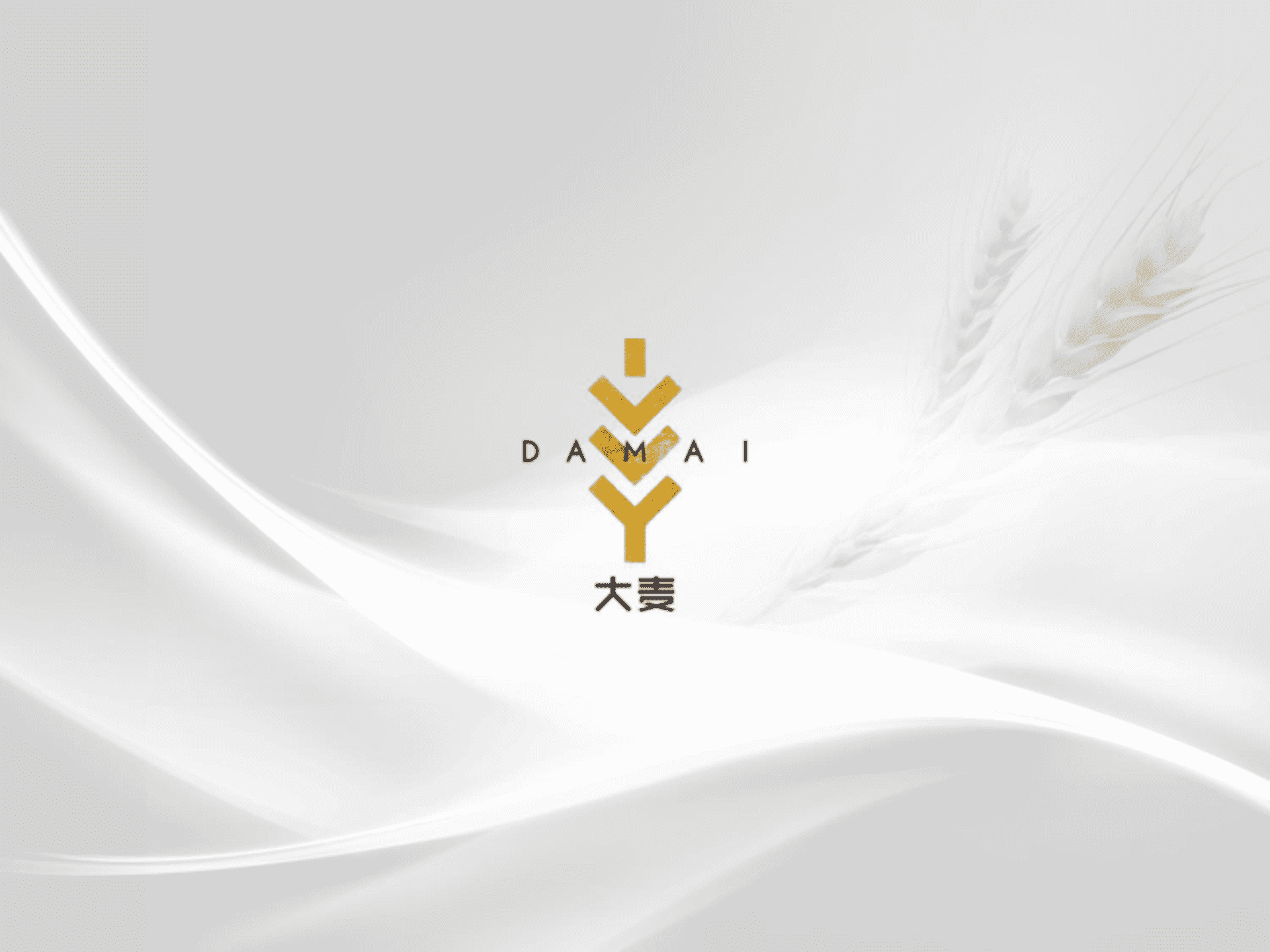 大麦传播-美的+雅居乐云筑推广方案（最终定稿)