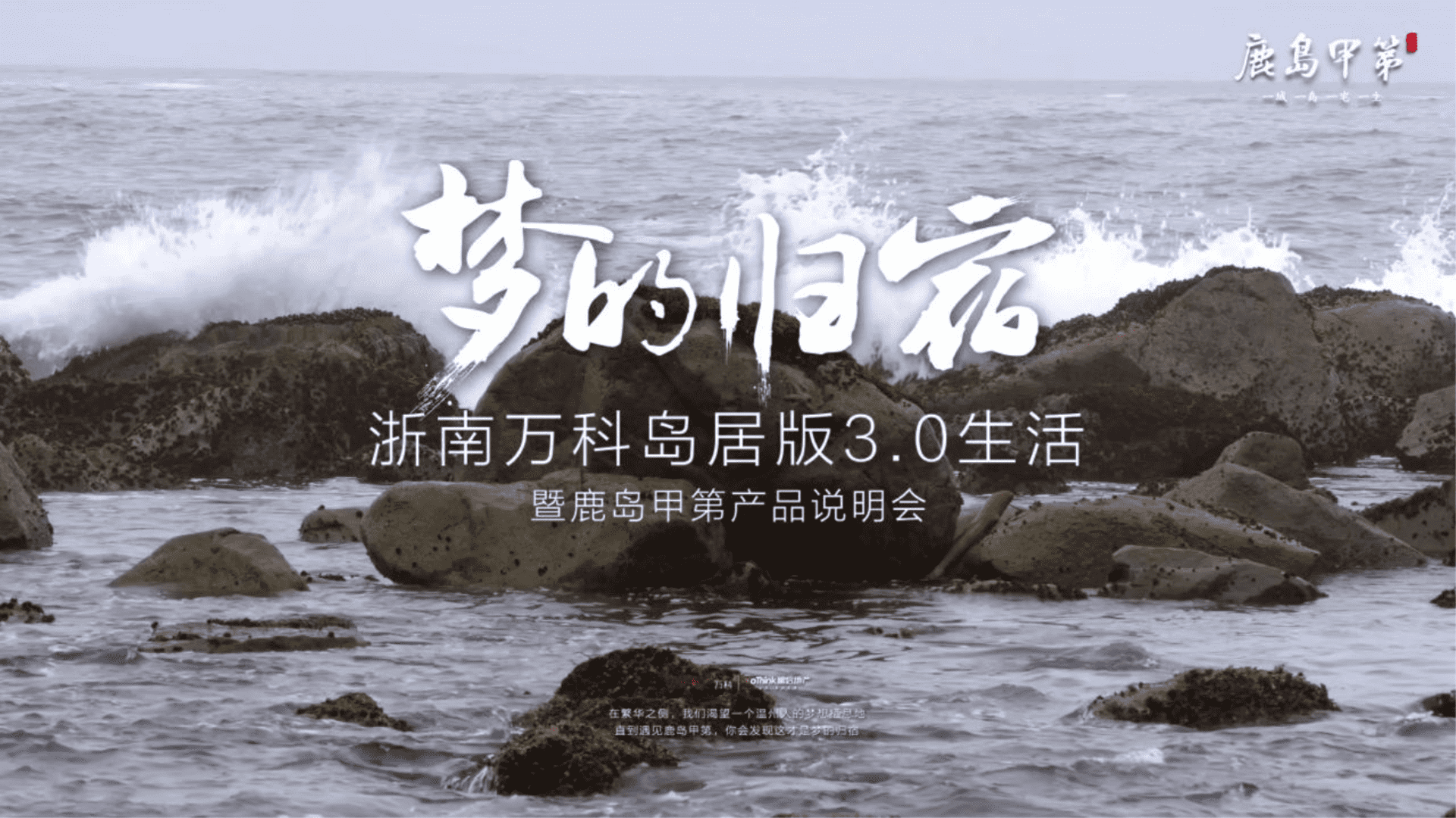 浙南万科岛产品说明会活动方案