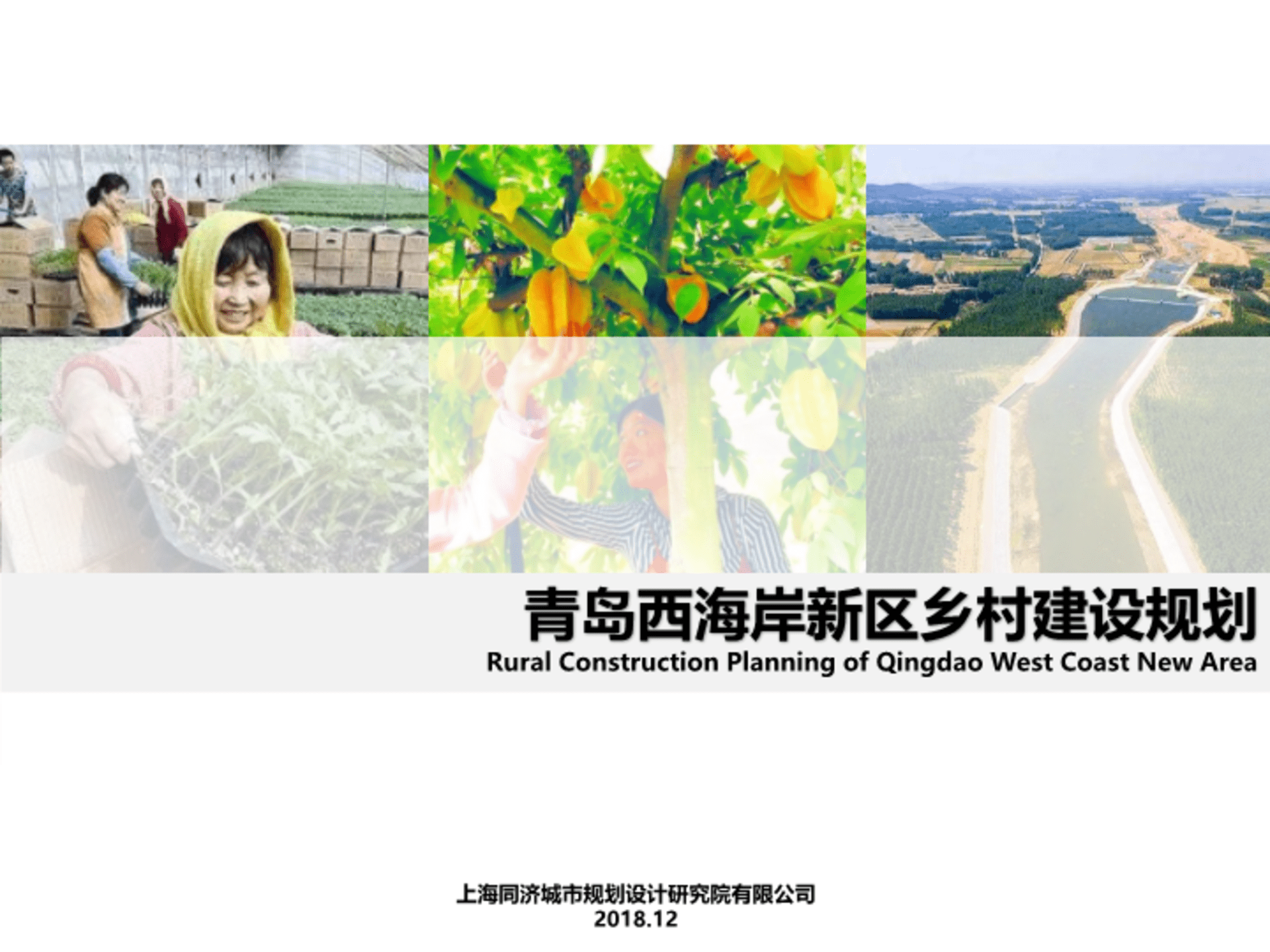 青岛市场推广-西海岸新区乡村振兴建设规划（同济）