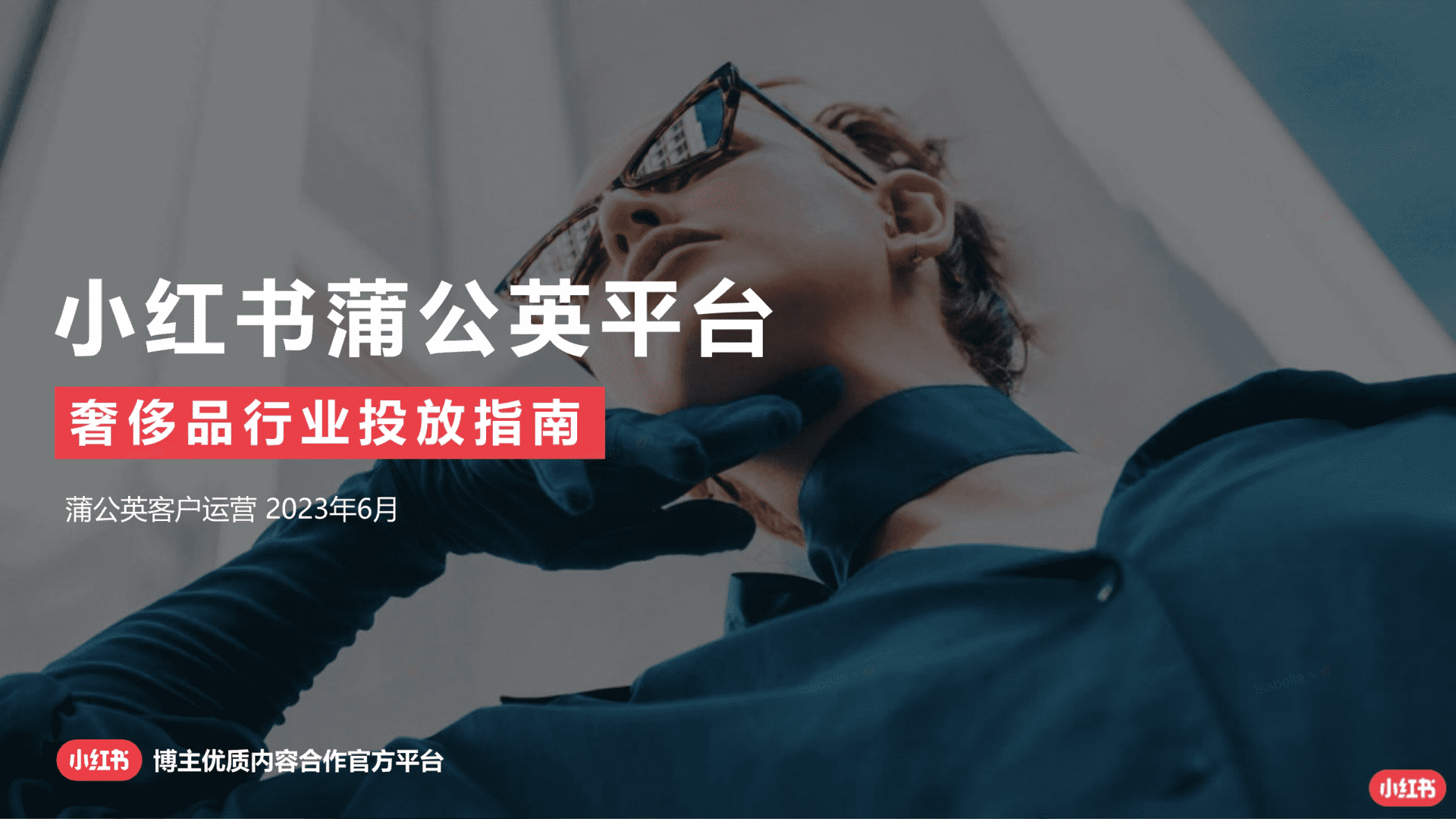 2023蒲公英奢品行业投放指南