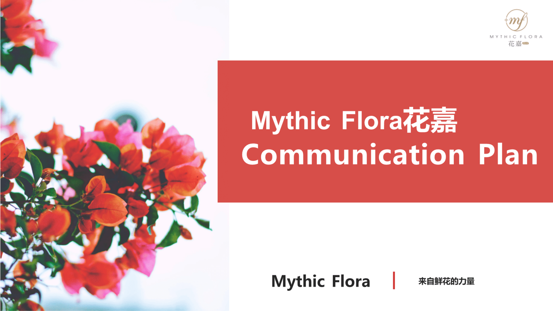 Mythic Flora花嘉护肤品品牌新品线上全媒体渠道推广方案