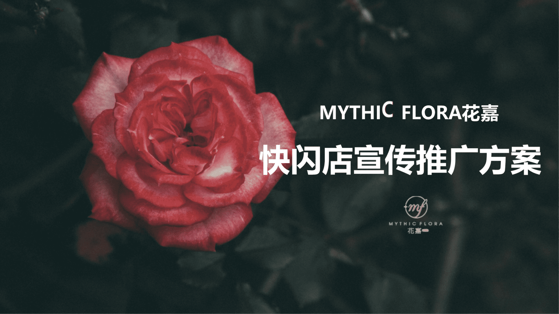 MYTHIFLORA花嘉快闪店搭建及宣传方案