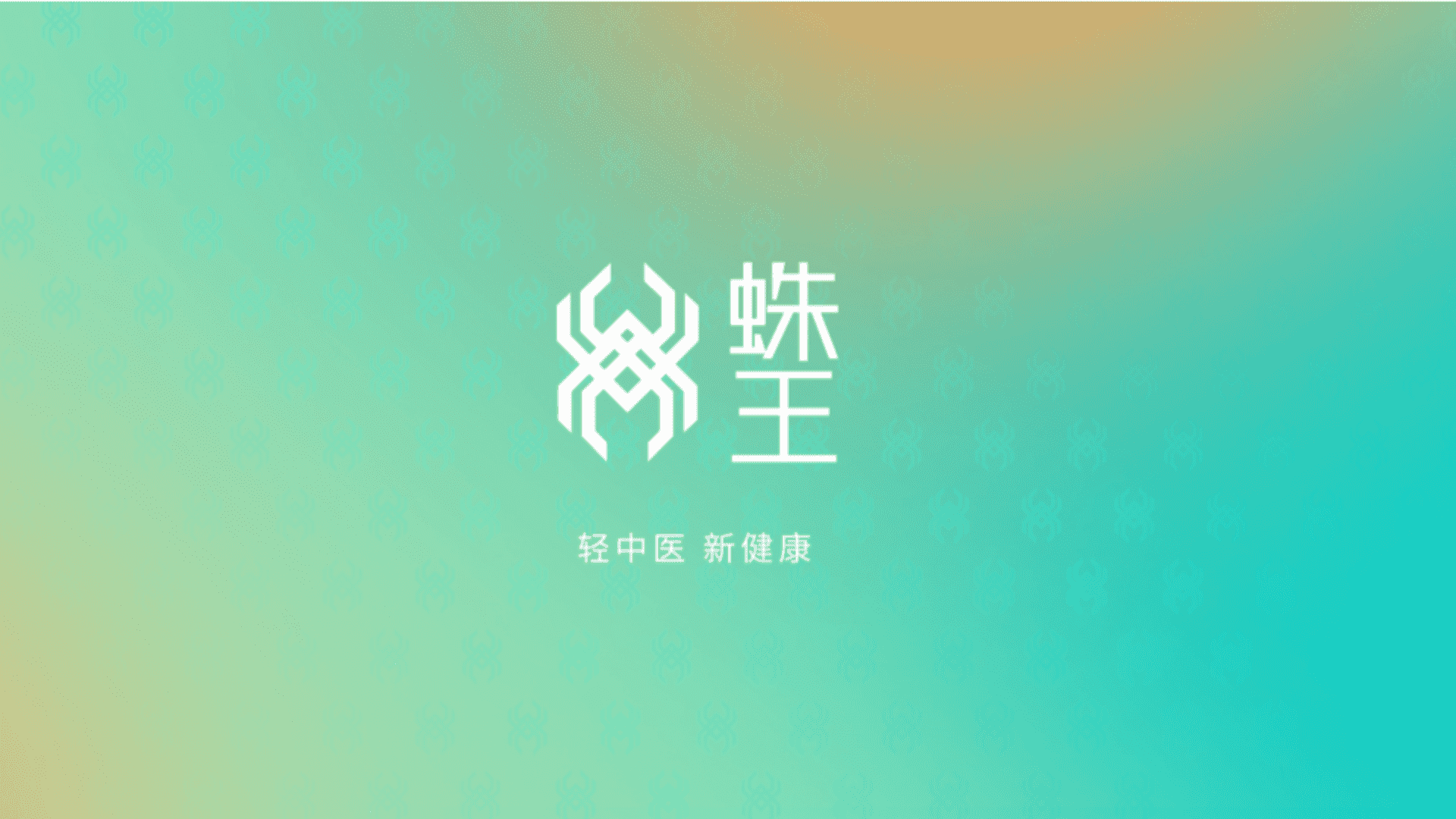 蛛王中医产品品牌手册