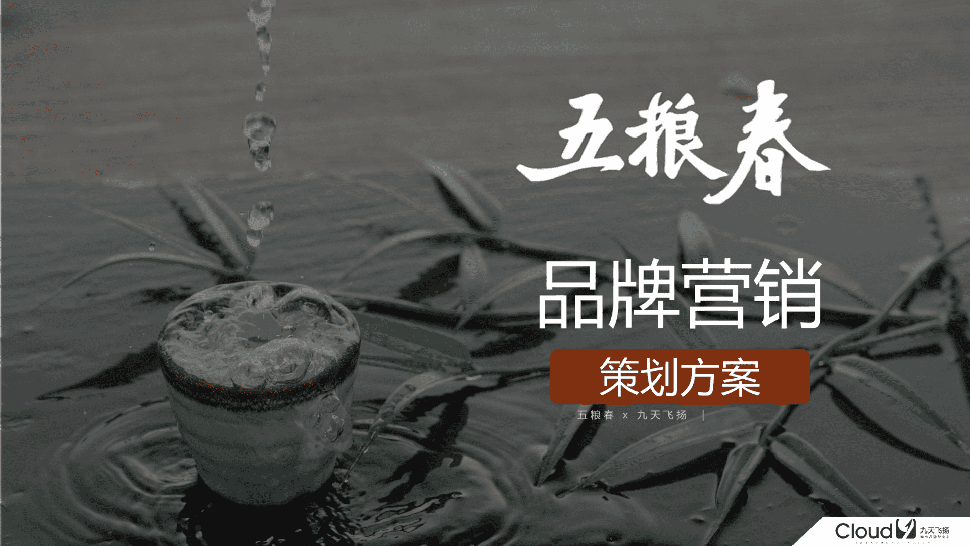 五粮春品牌营销策划方案