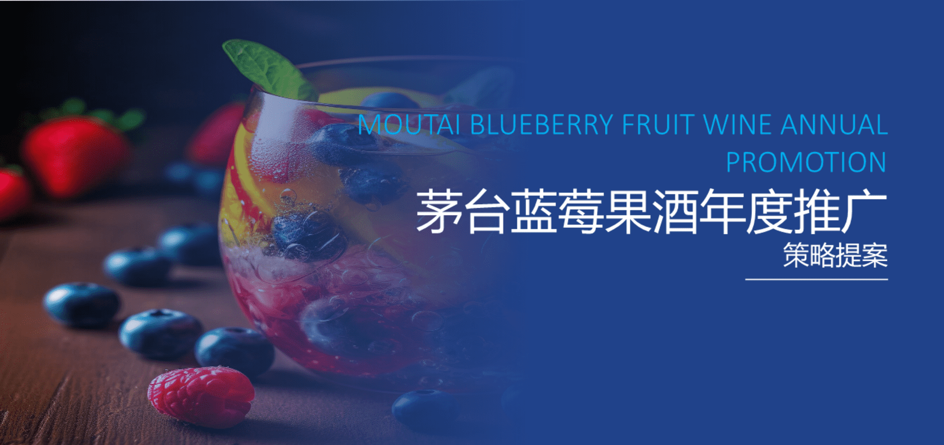 2023茅台品牌年度推广策略提案